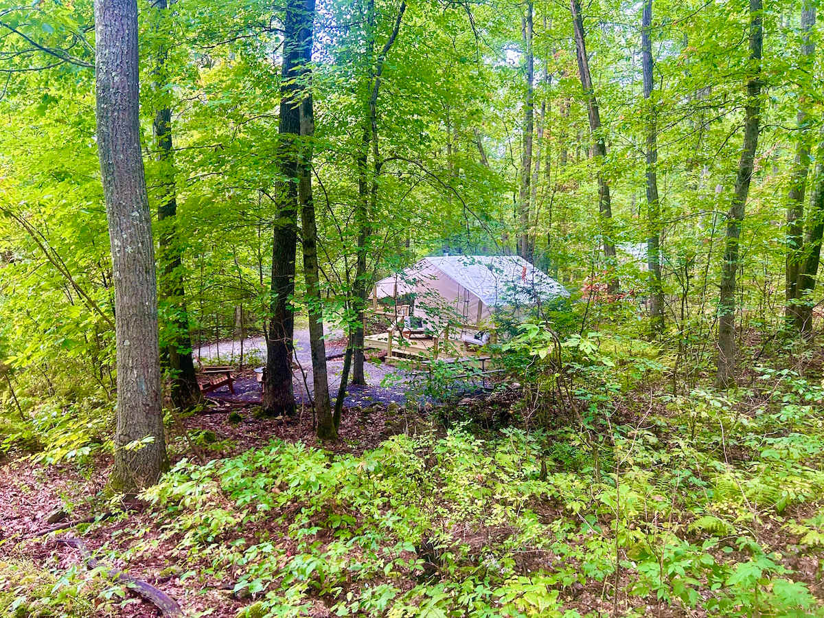 Picture of the site