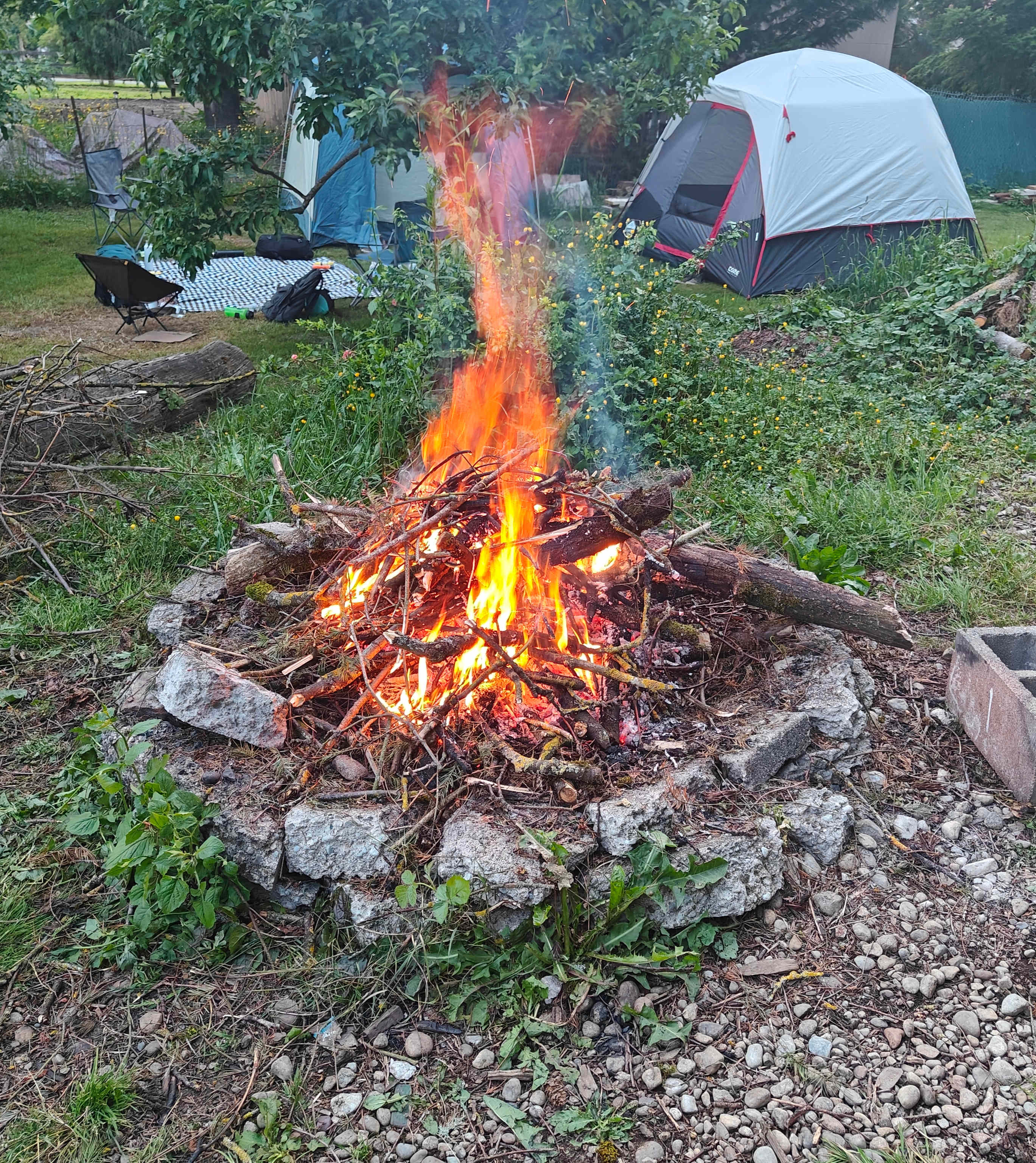 Picture of the site