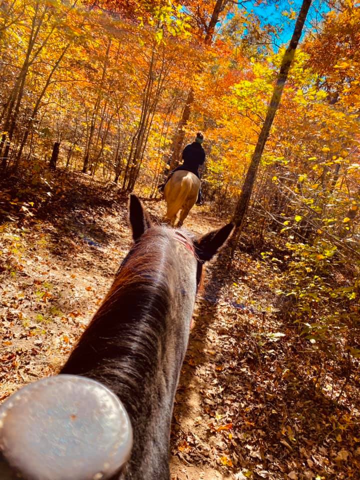 Campsites Fall Creek Falls Stables