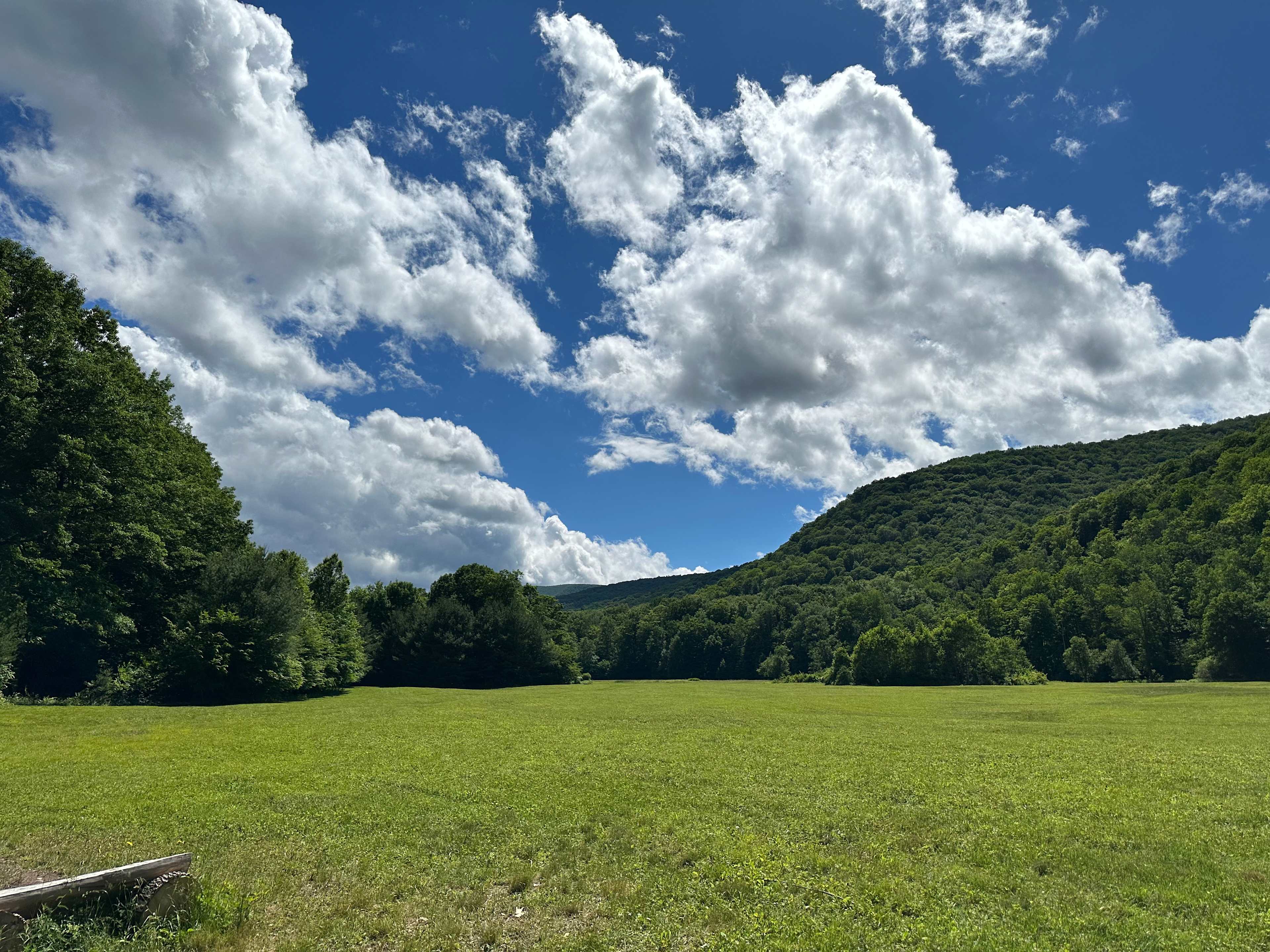 Balsam Gleann Meadows
