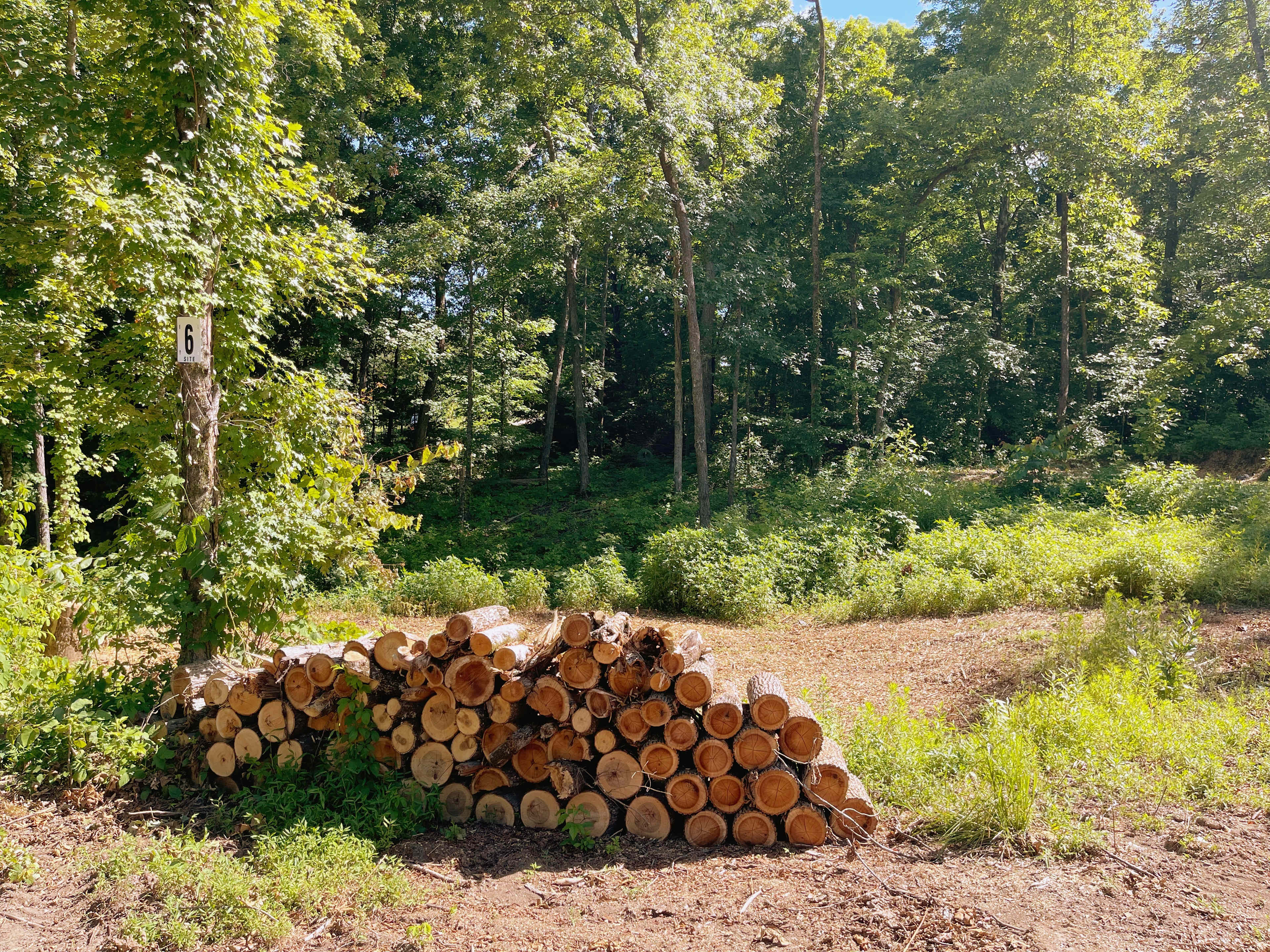 Picture of the site