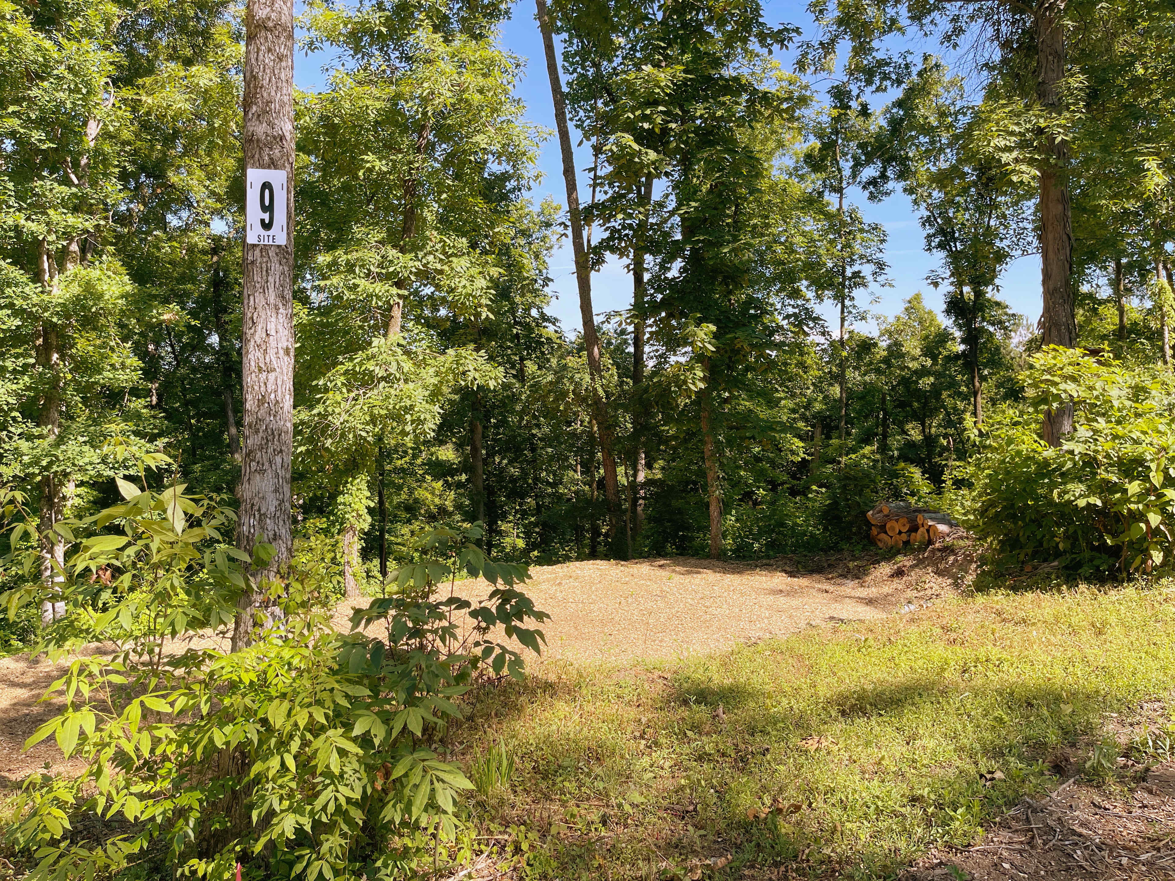 Picture of the site