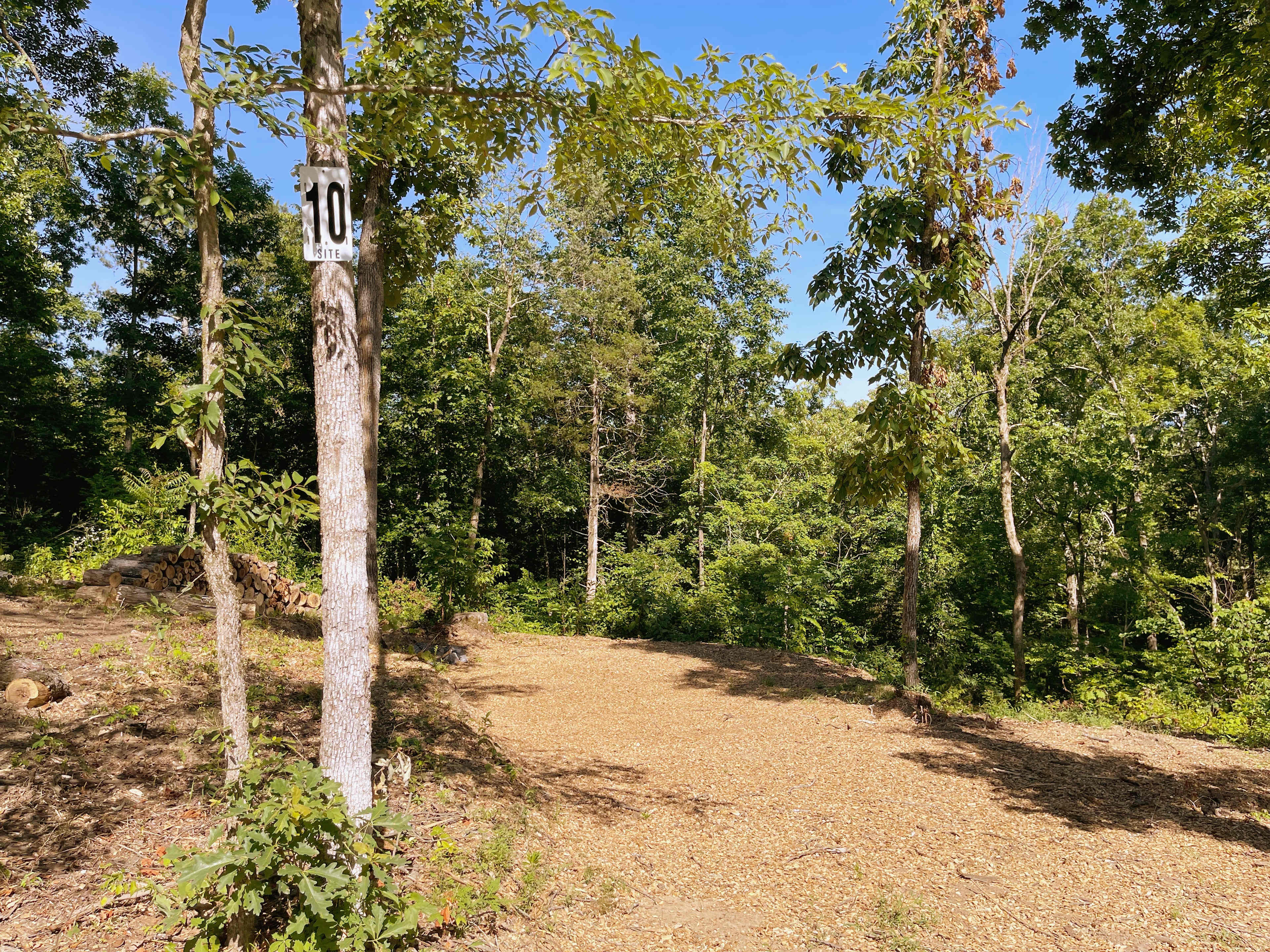 Picture of the site
