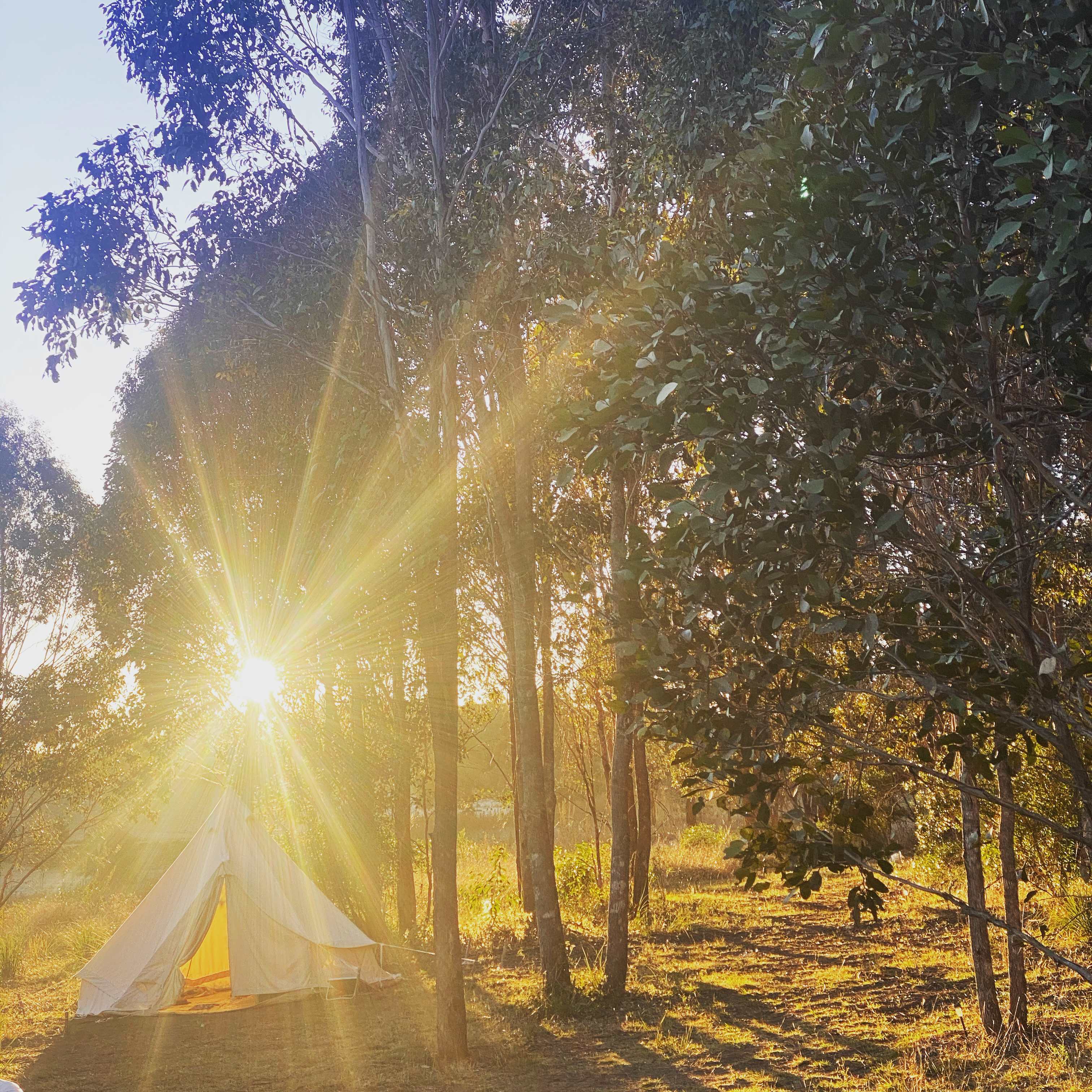 Elbow valley camp