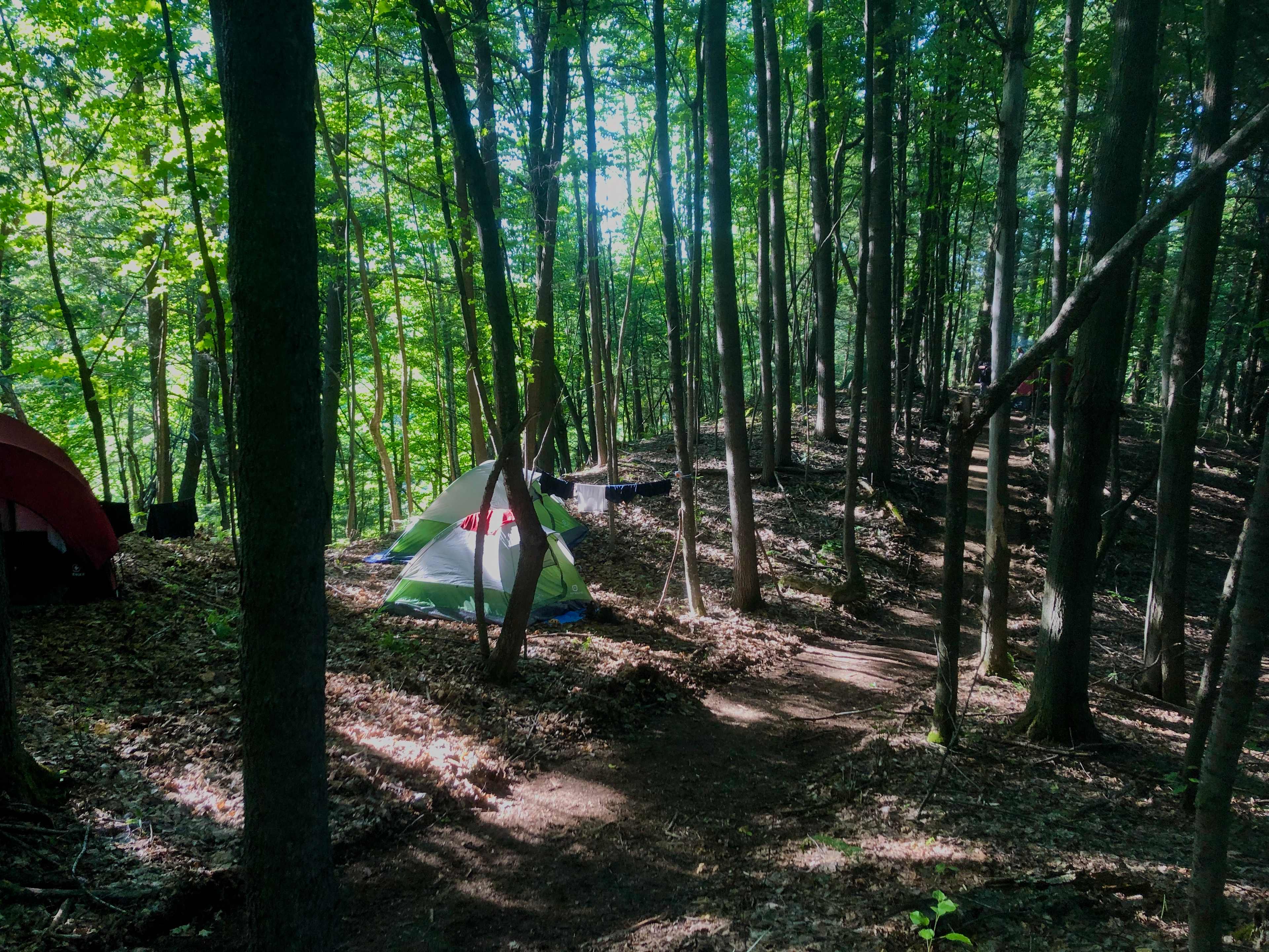 Picture of the site