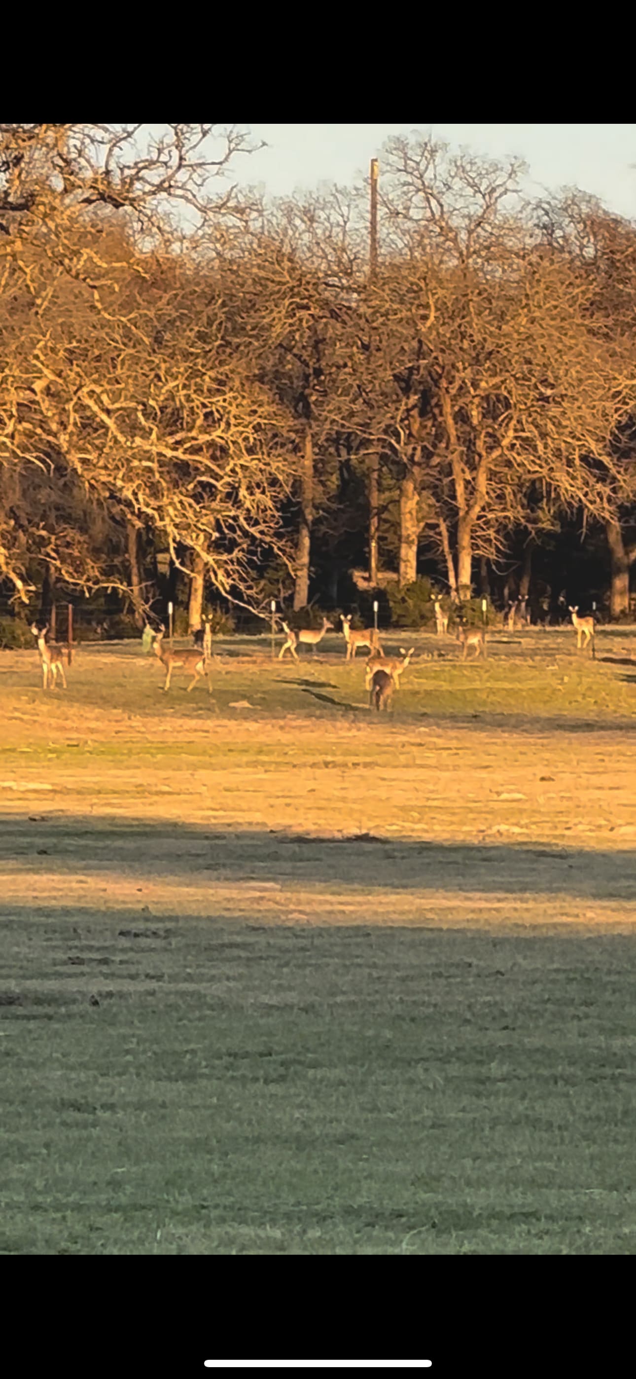 Cattlemen Ranch