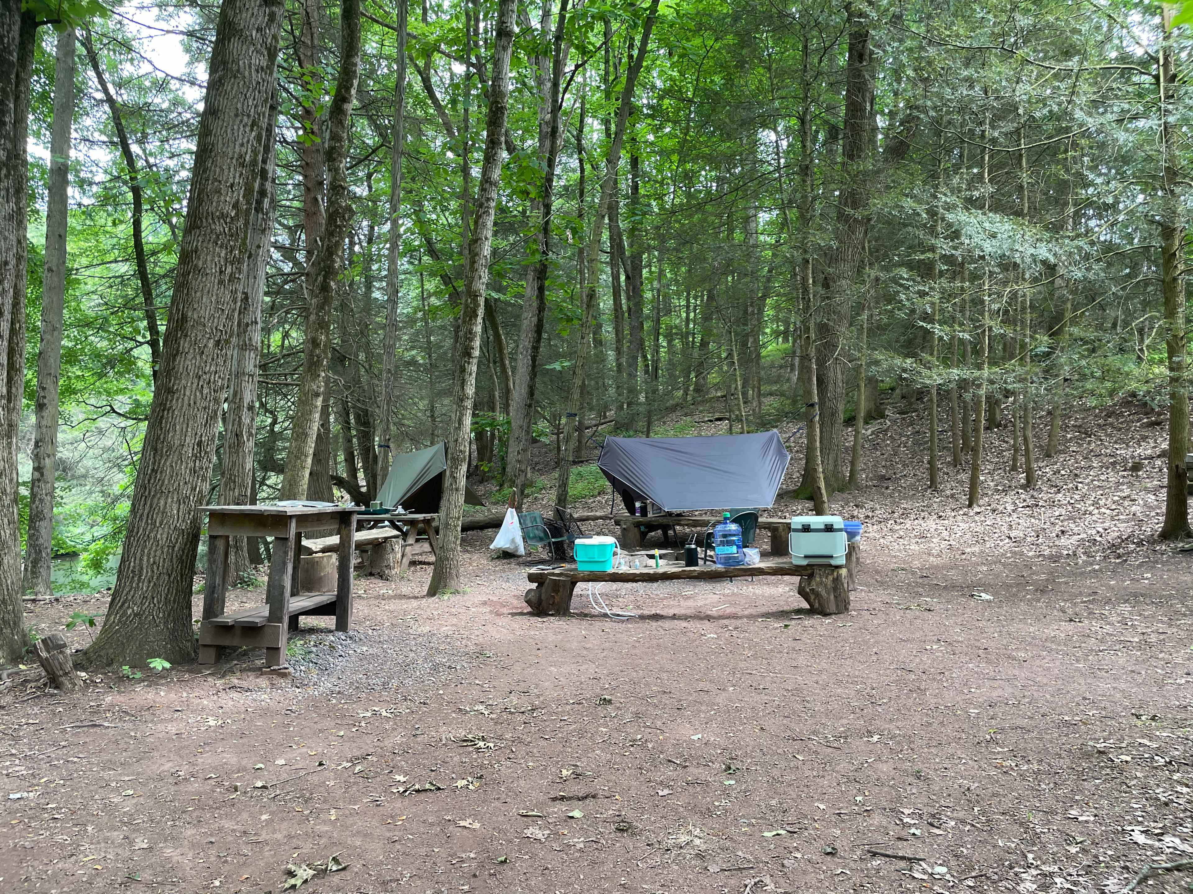 Picture of the site