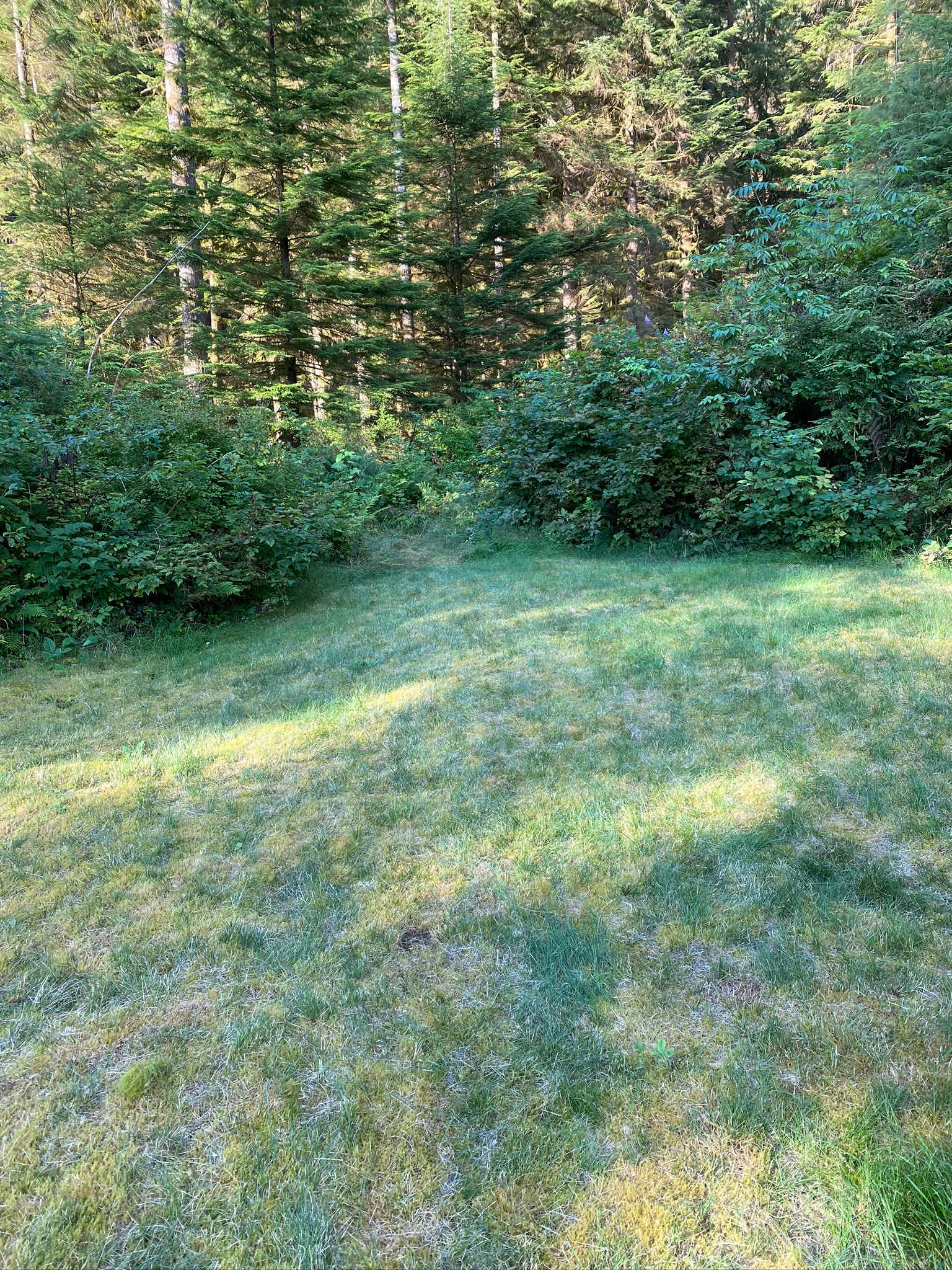 8 Debeck Creek Pitt Lake BC