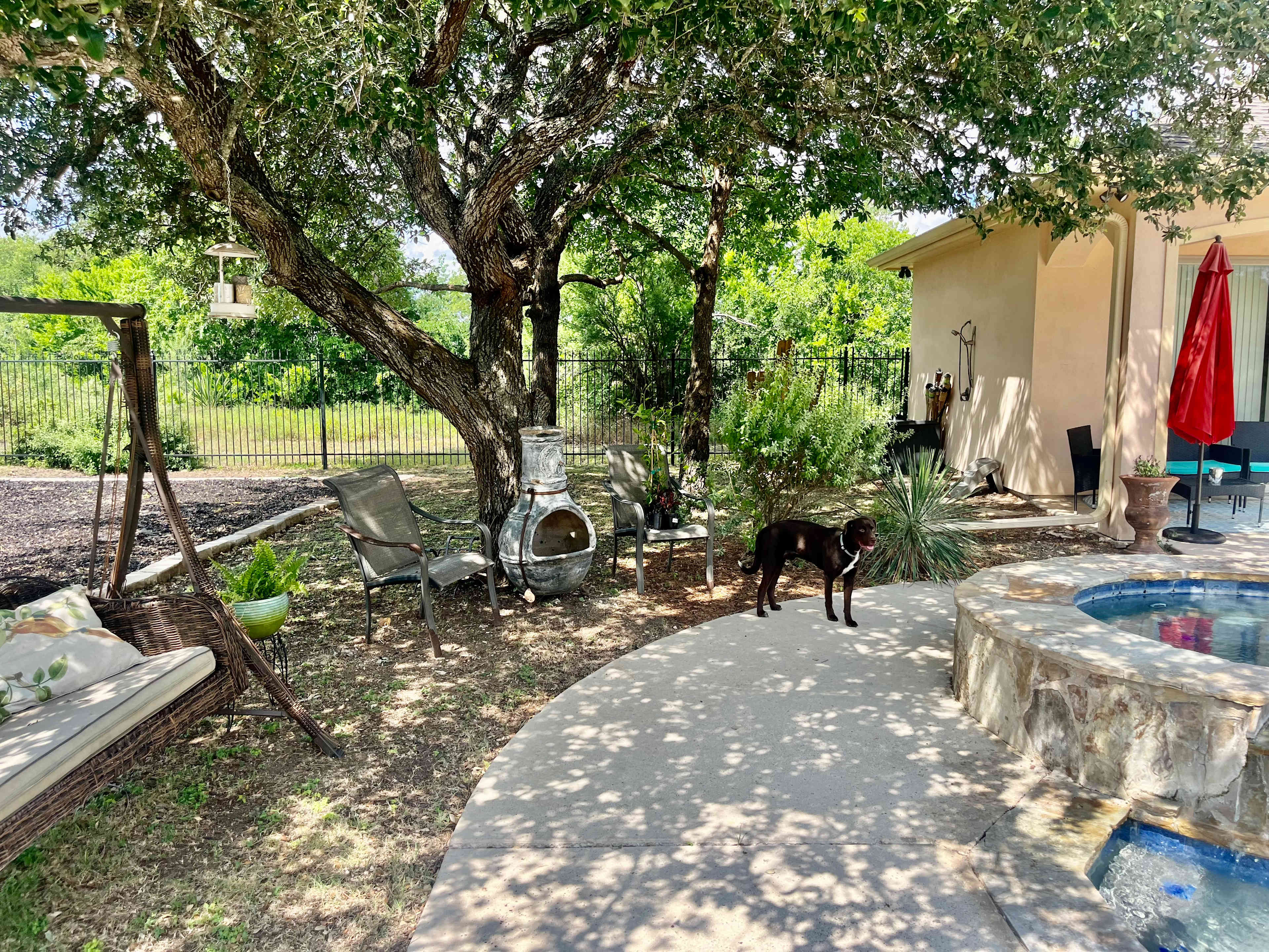SoJo Ranch