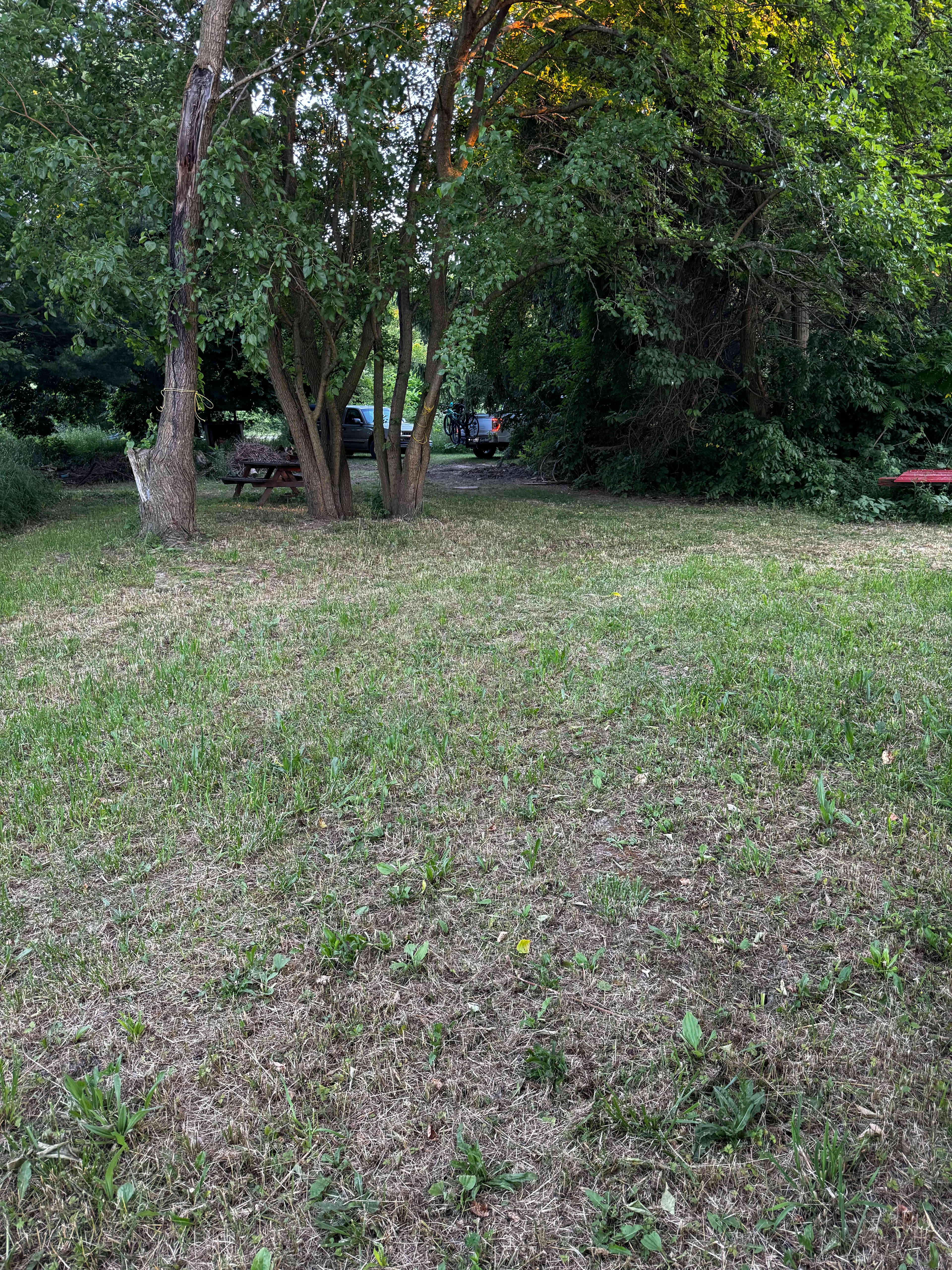 Camp site 