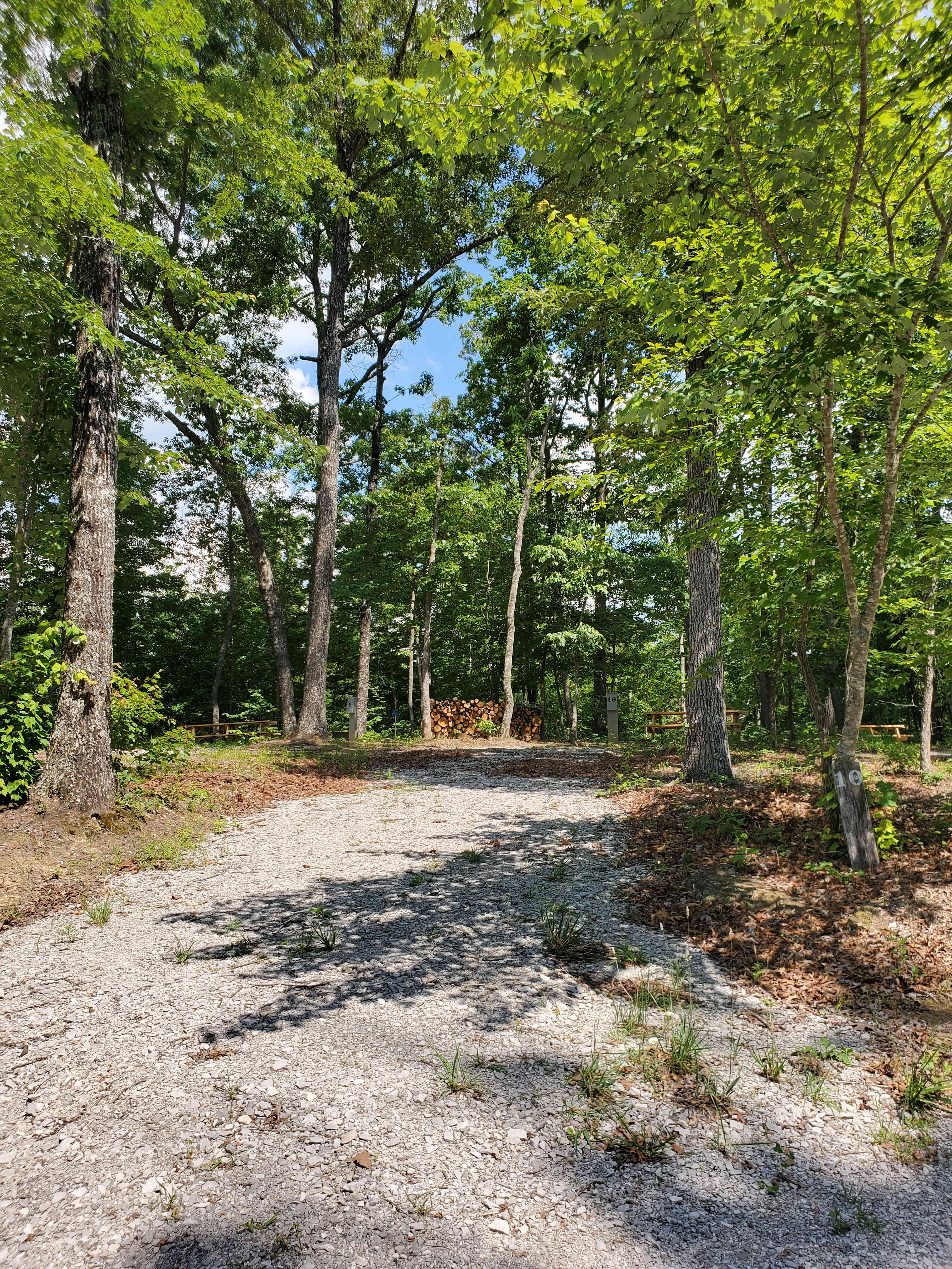 Campsites Fall Creek Falls Stables