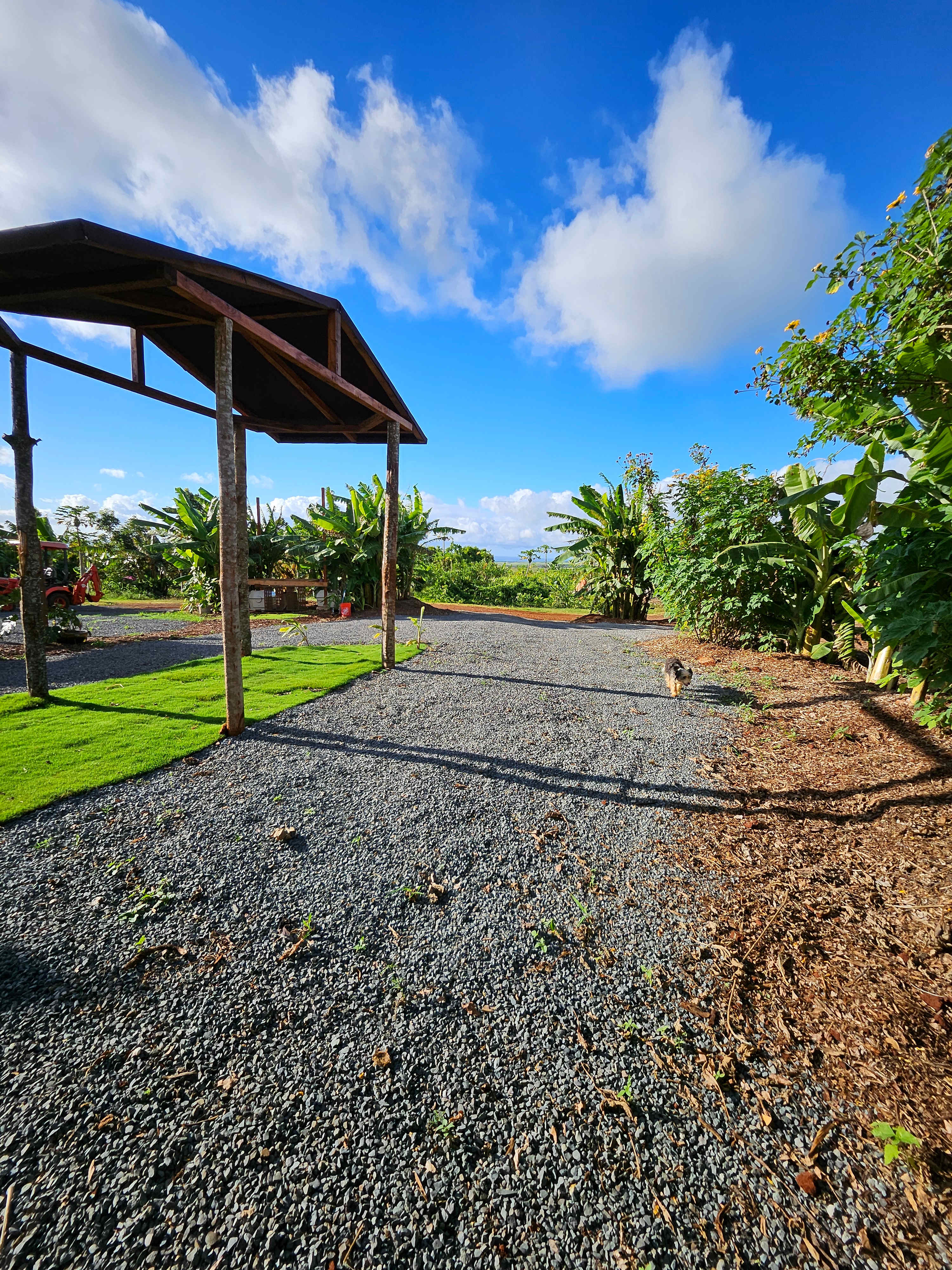 Picture of the site