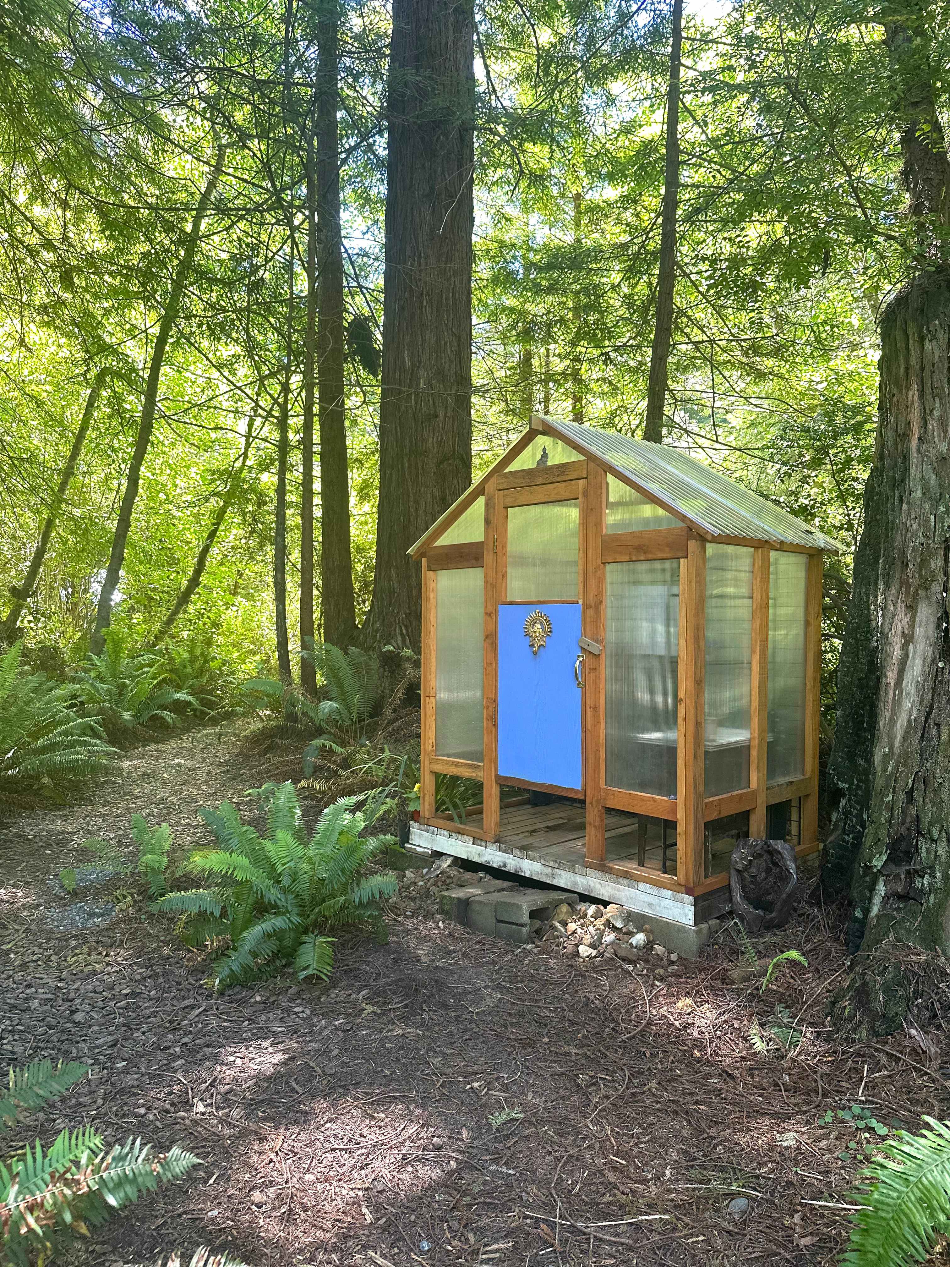 Our outdoor greenhouse shower is an experience. The on demand water heater steams up the shower house, while you bathe in the forest. 