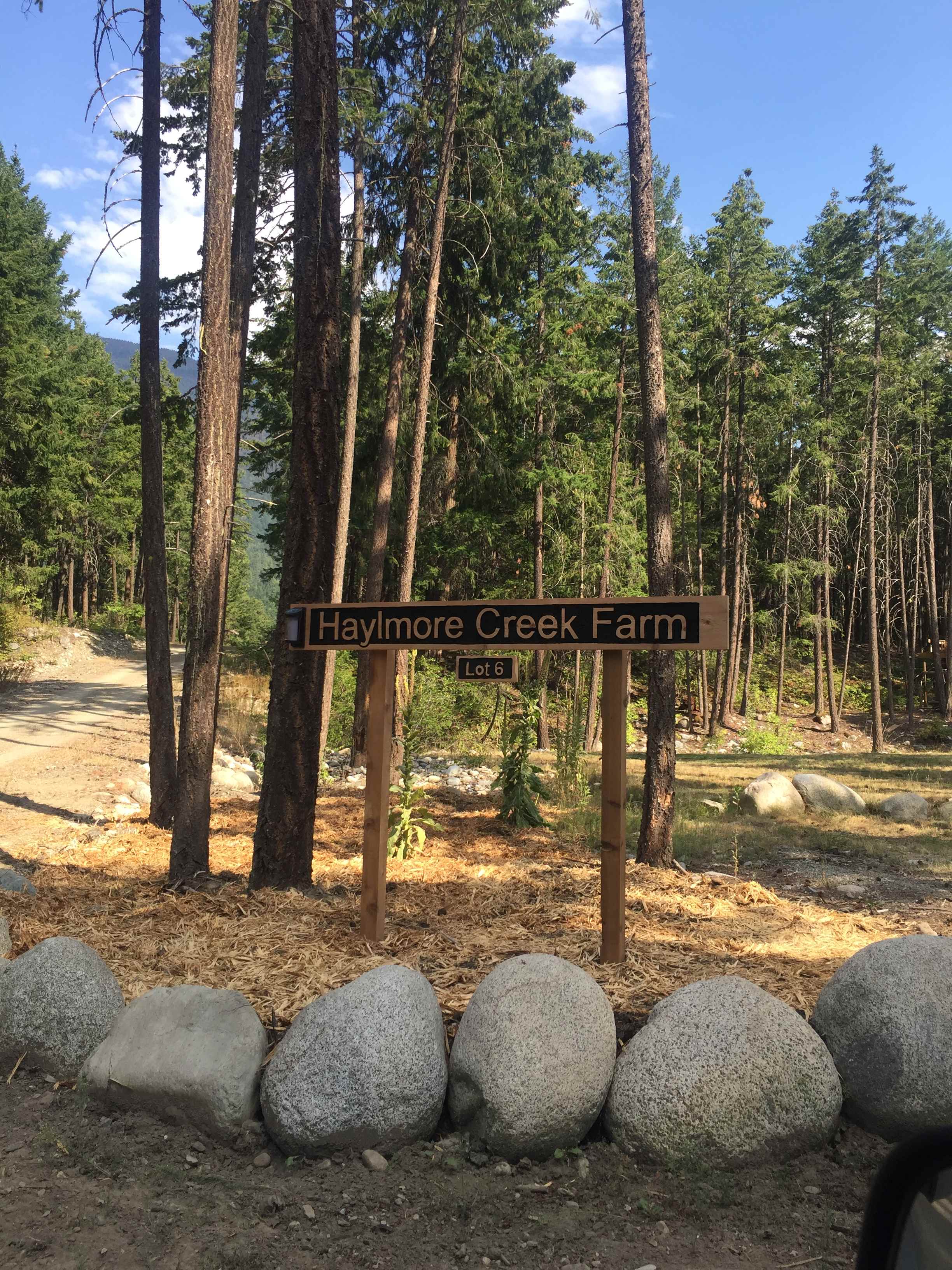 Picture of the site
