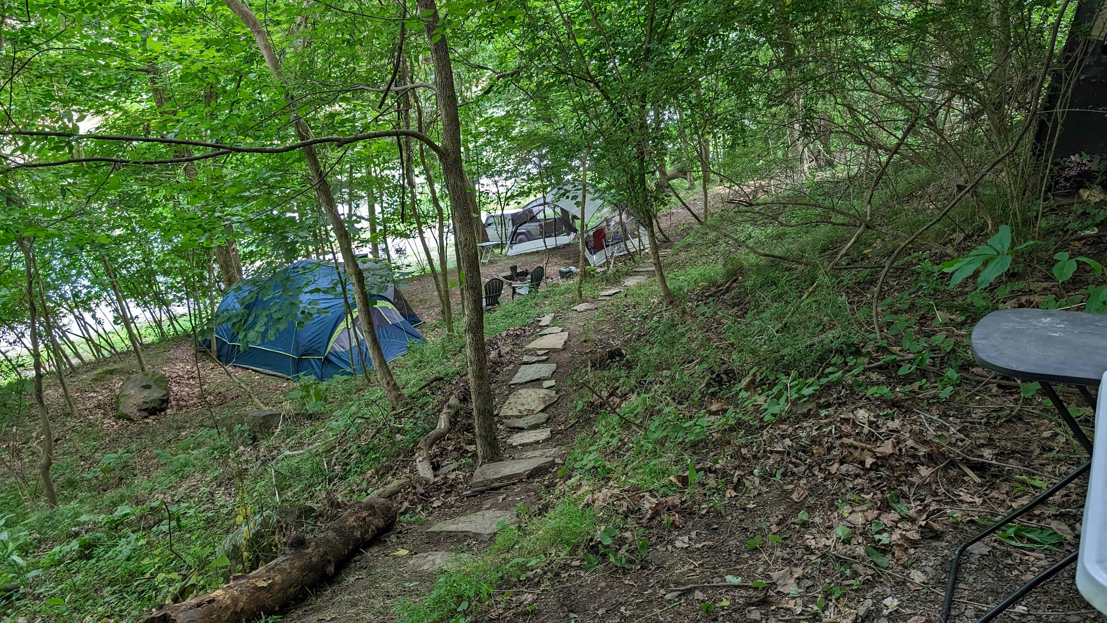 Picture of the site