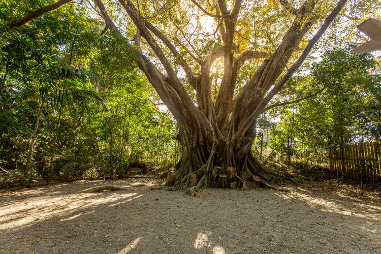 Port Douglas Creek Camping