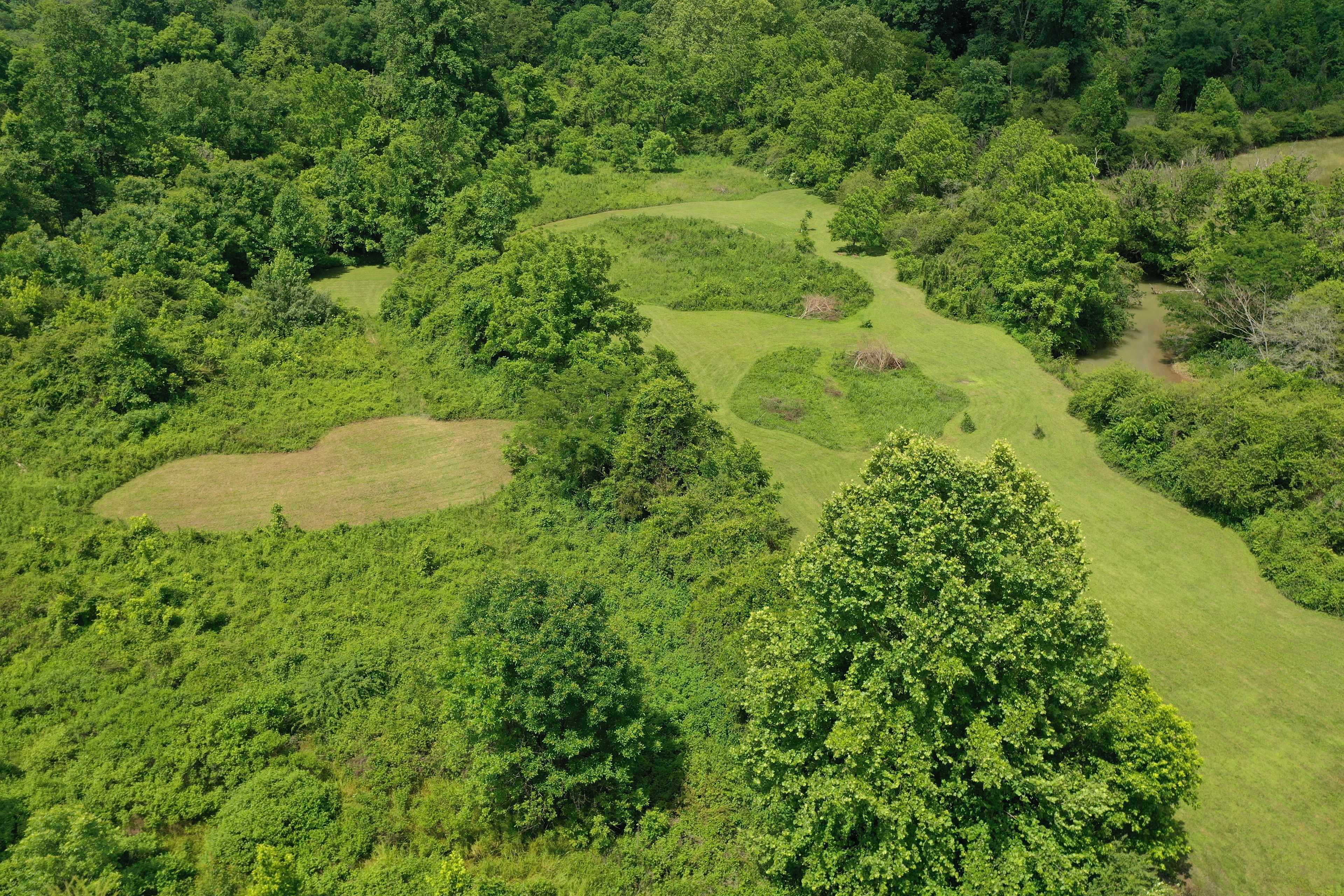The Meadows at Poplar Creek