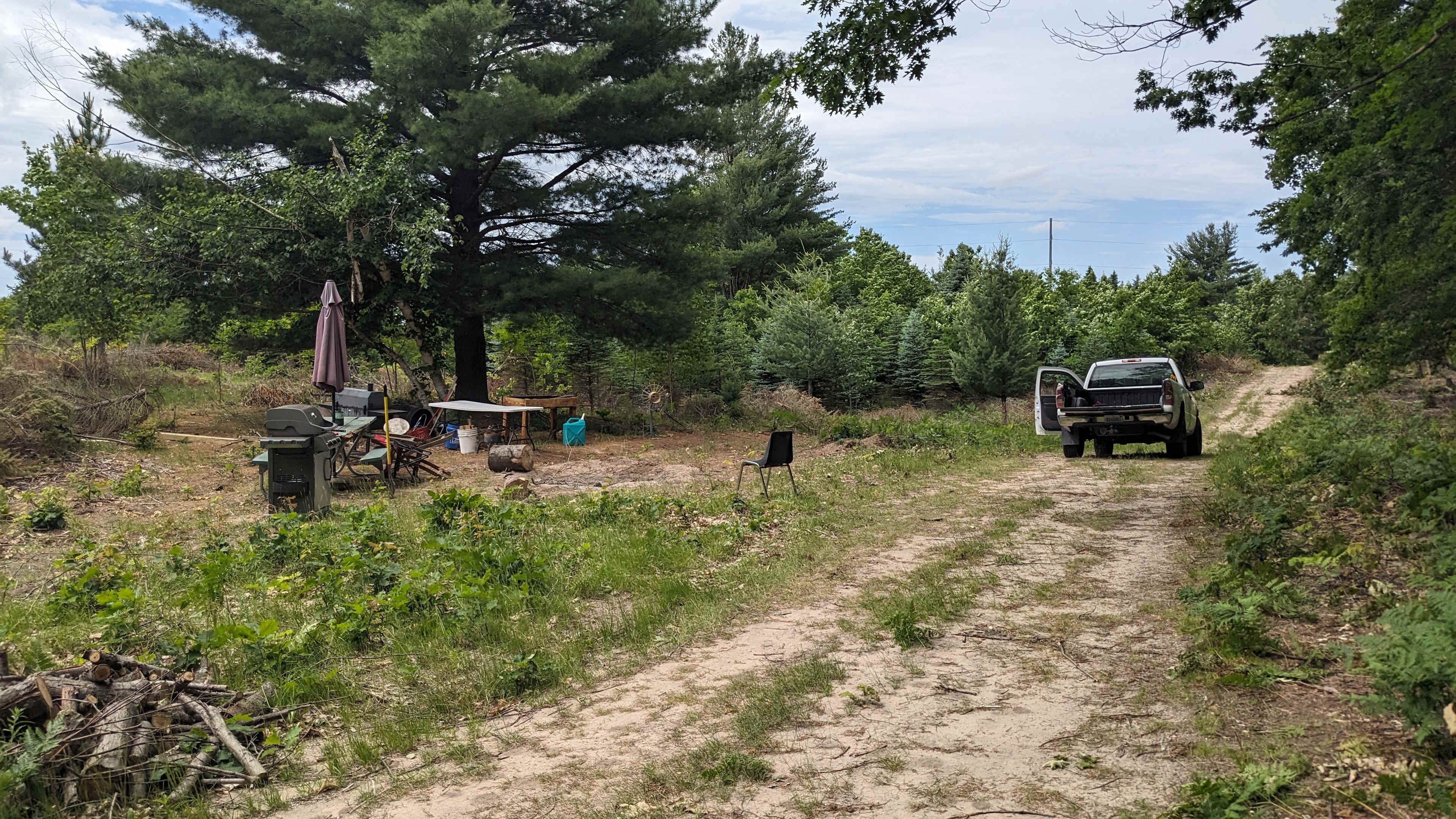 Picture of the site