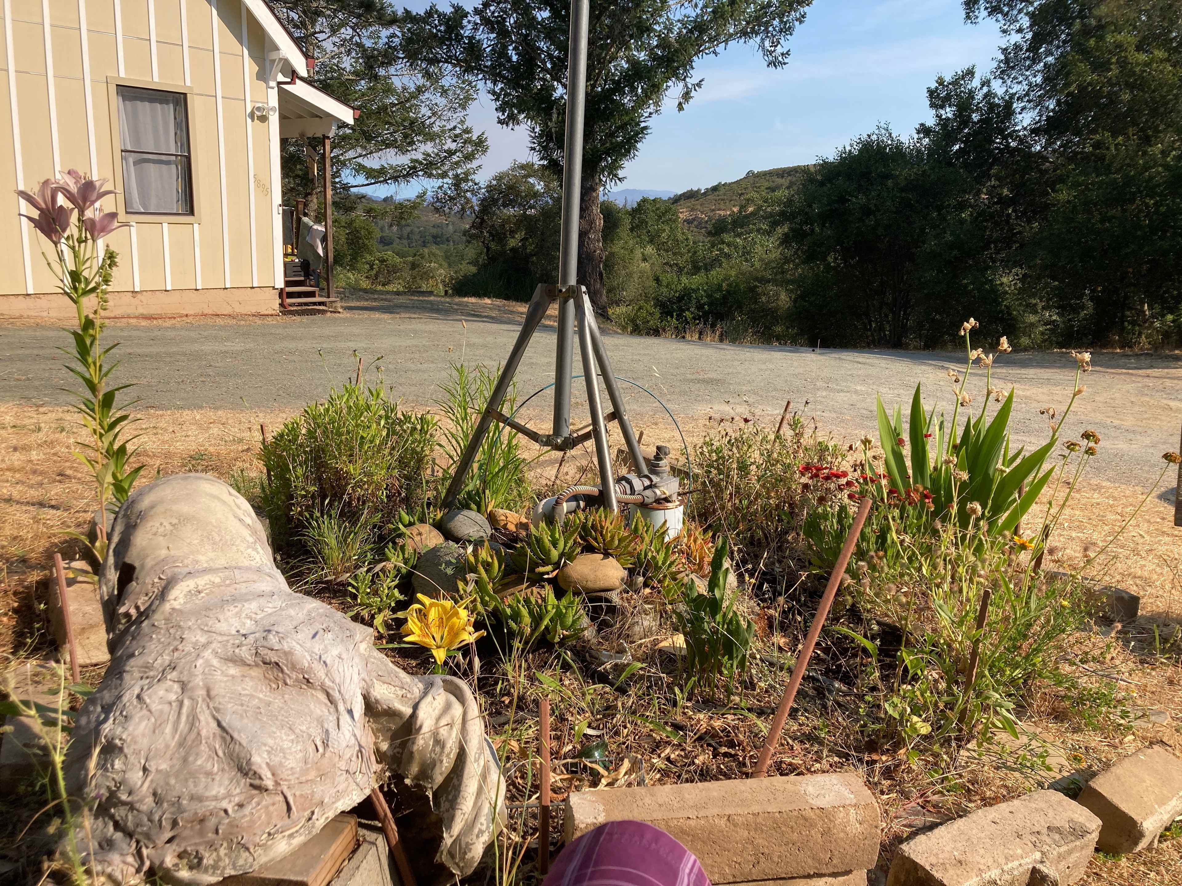 Whaleback Ridge Cabins & Camp