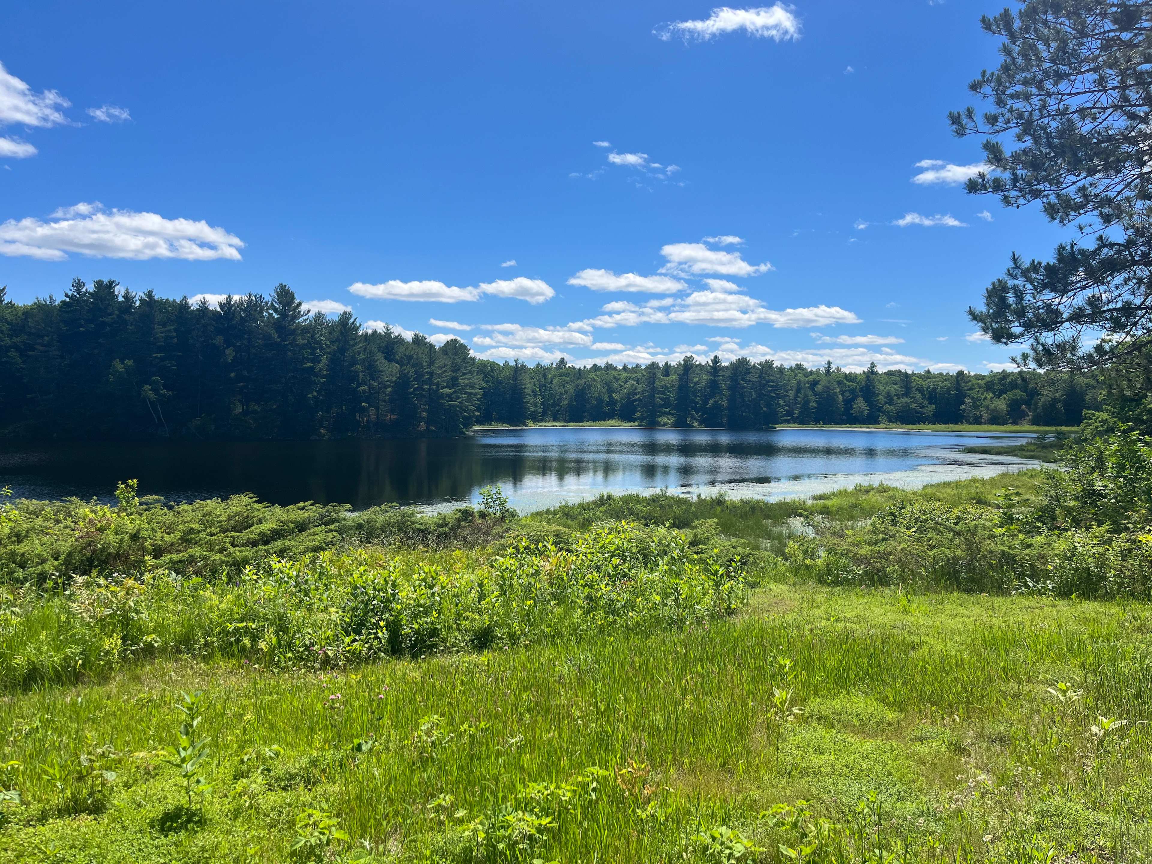 Wilderness Trails At Sumac