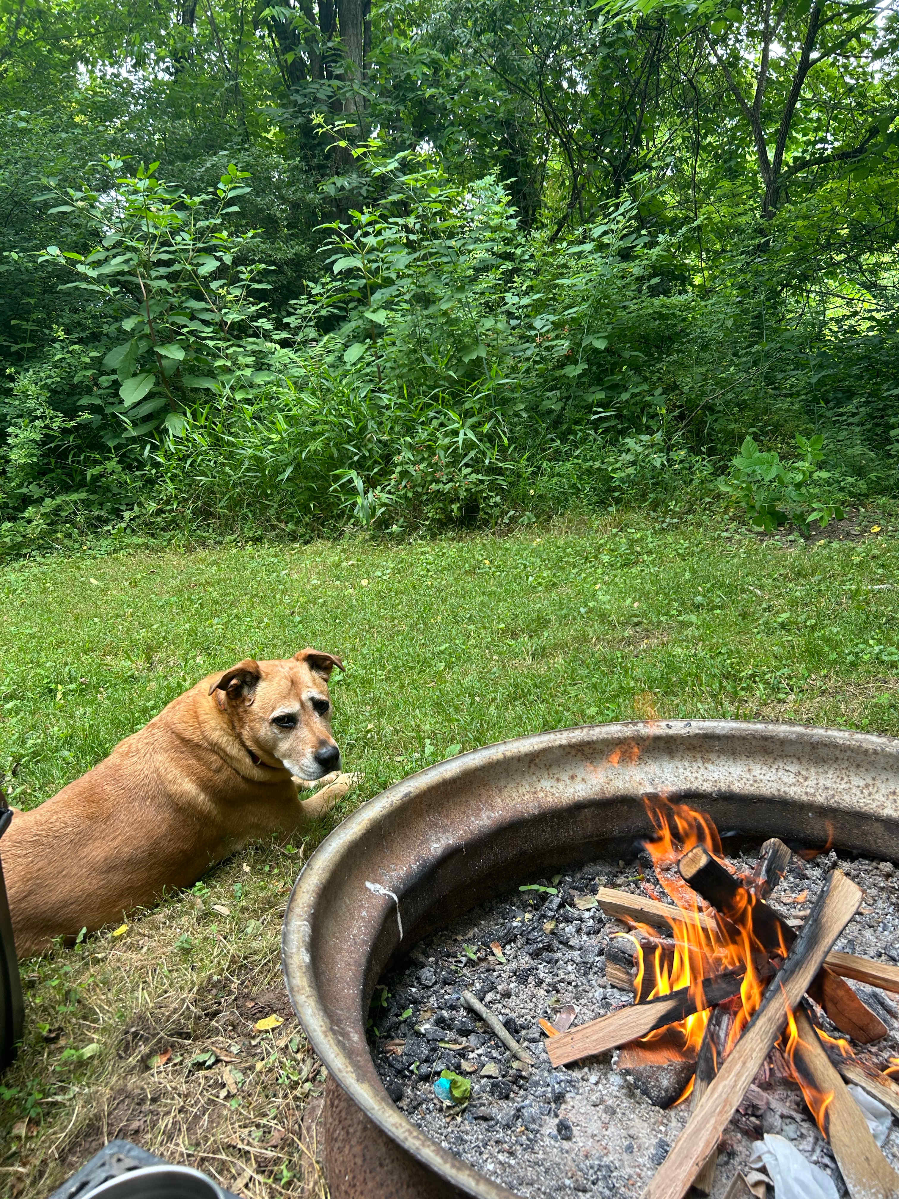 Birdhouse Farm Camp And Cabin