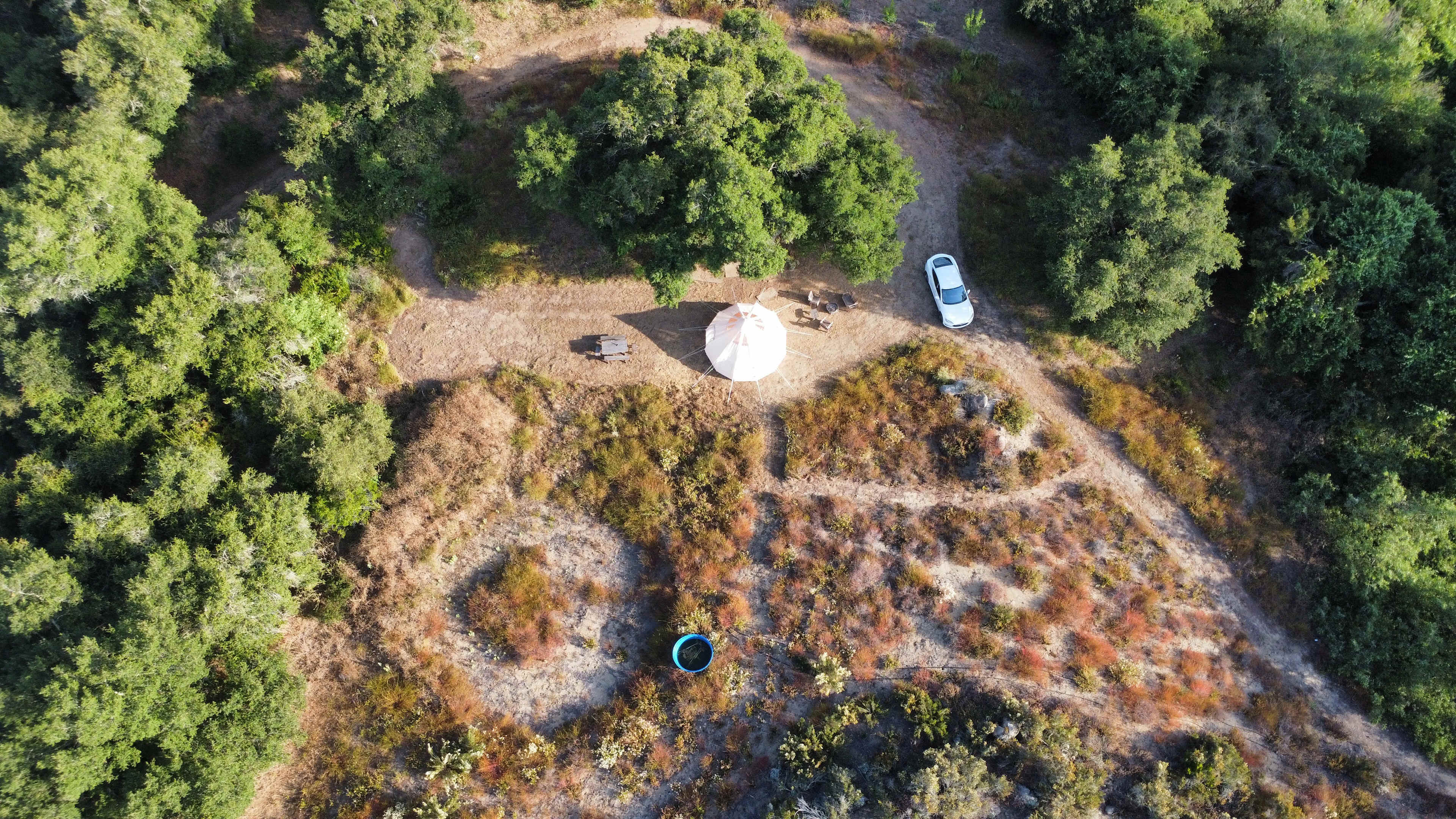 Picture of the site