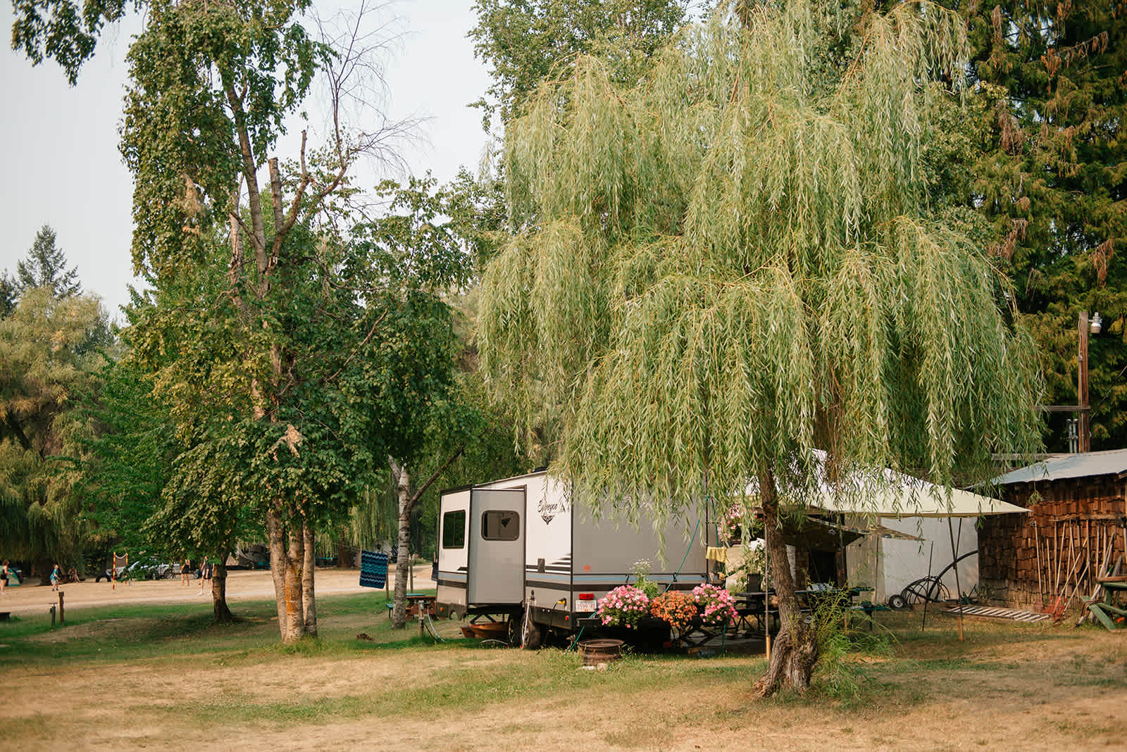 Picture of the site