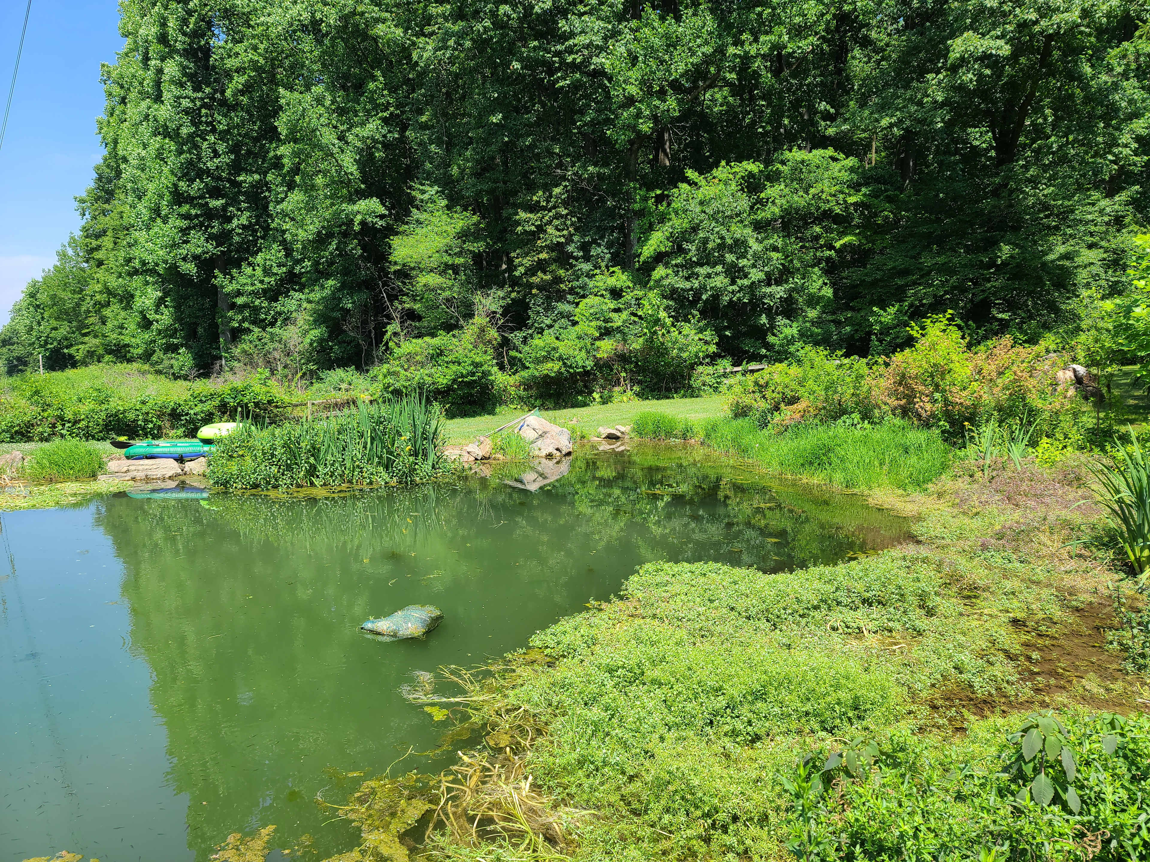 Picture of the site