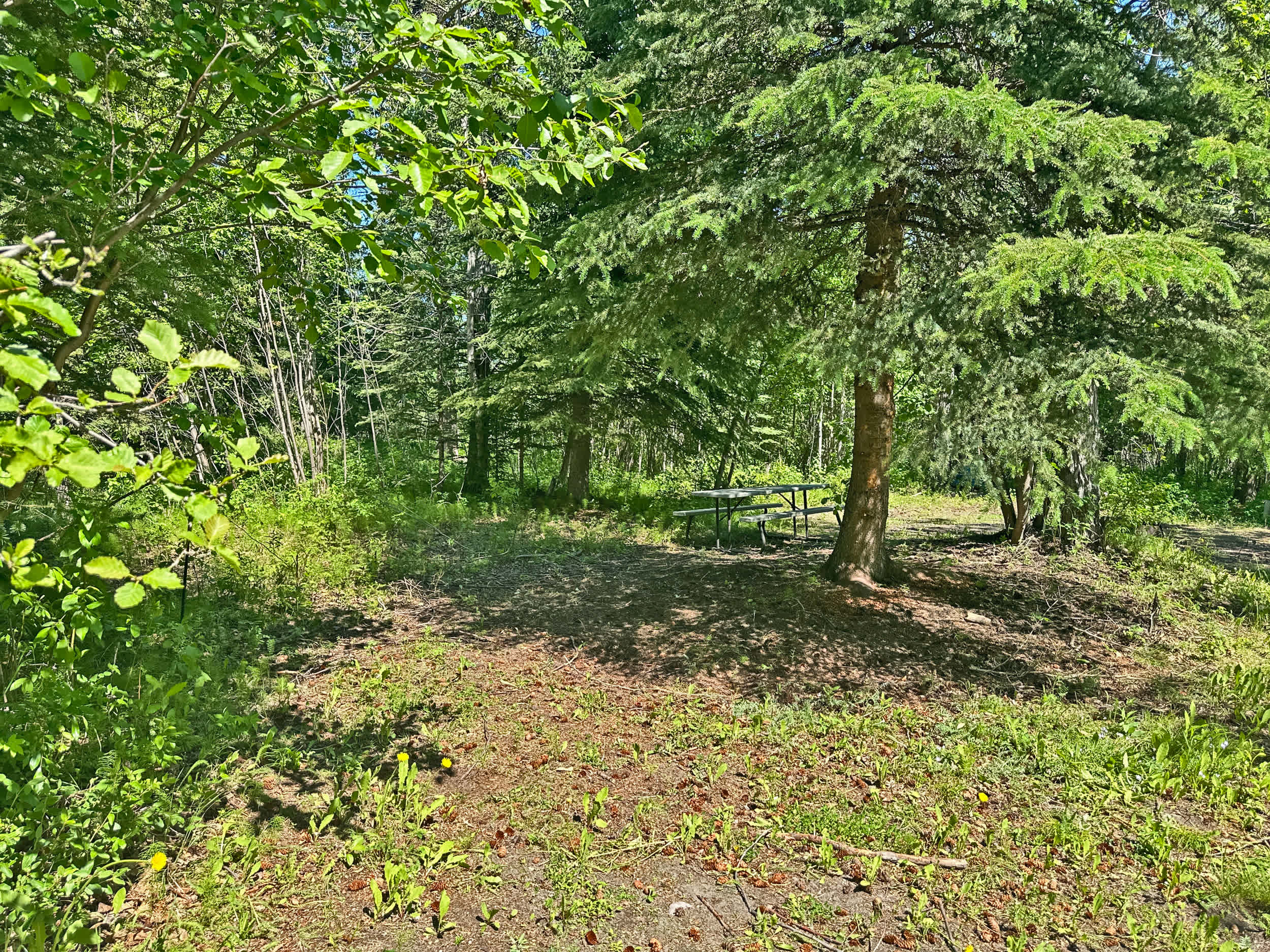 Picture of the site