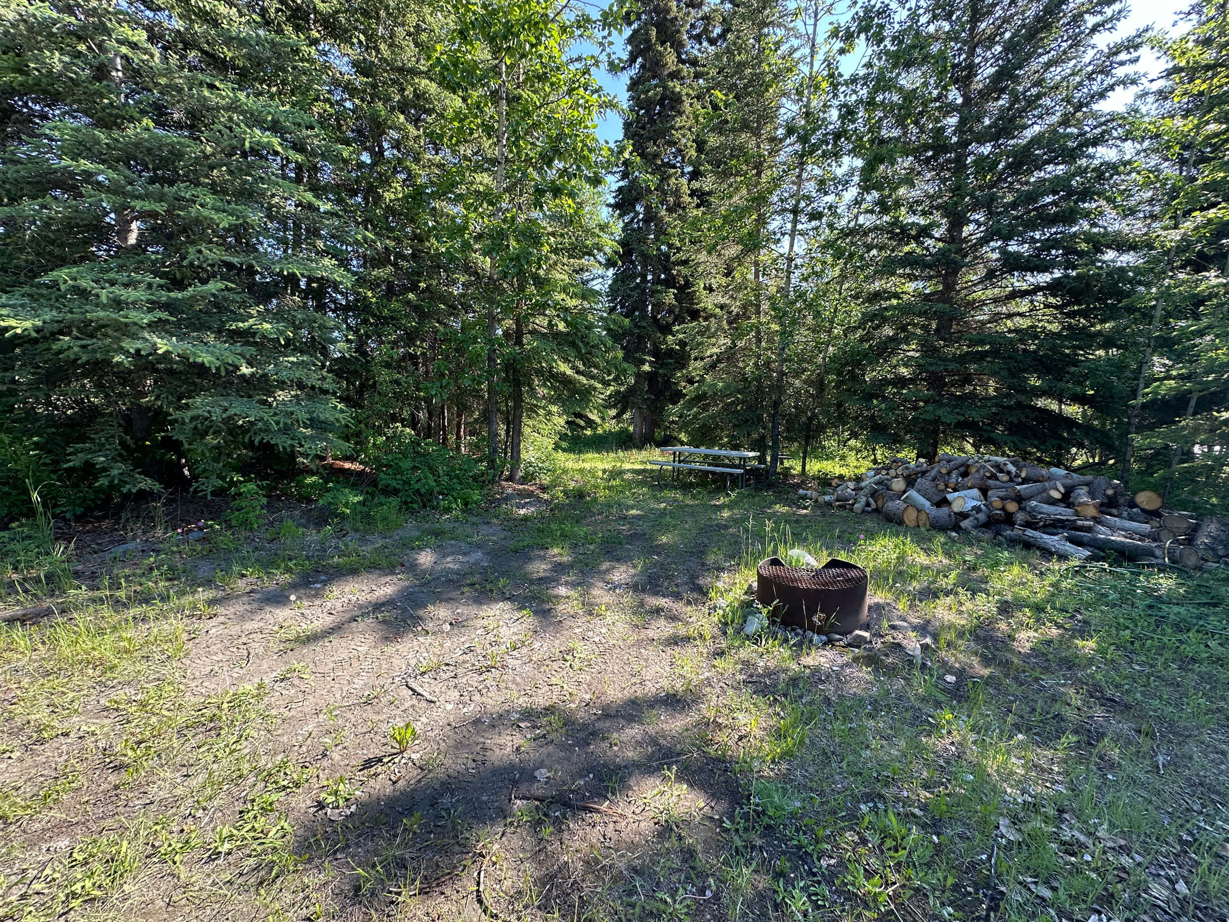 Picture of the site