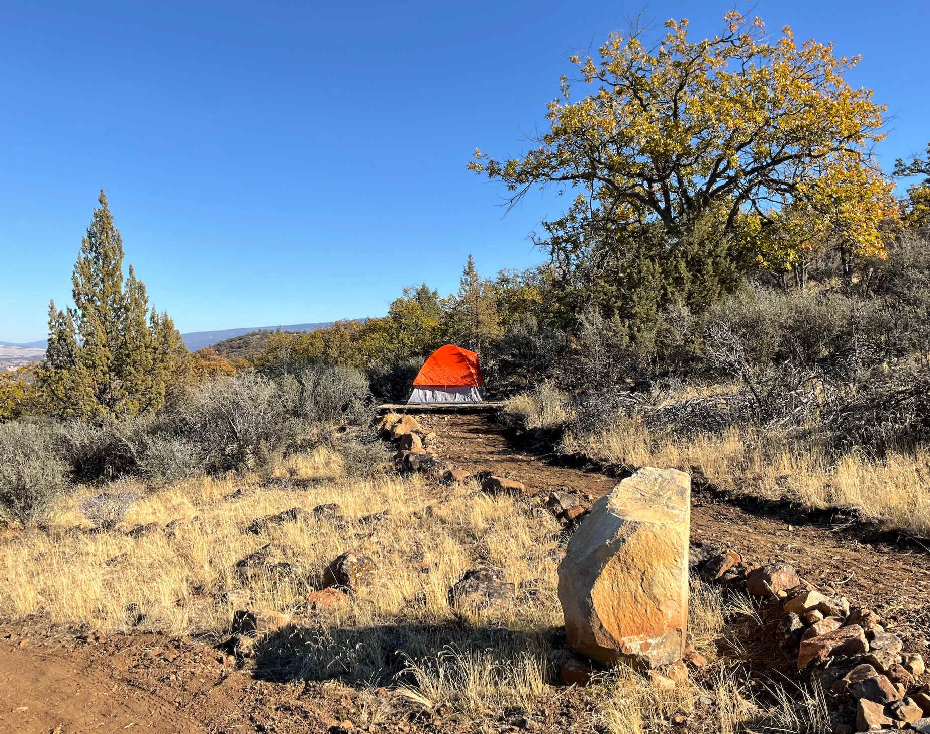 Picture of the site