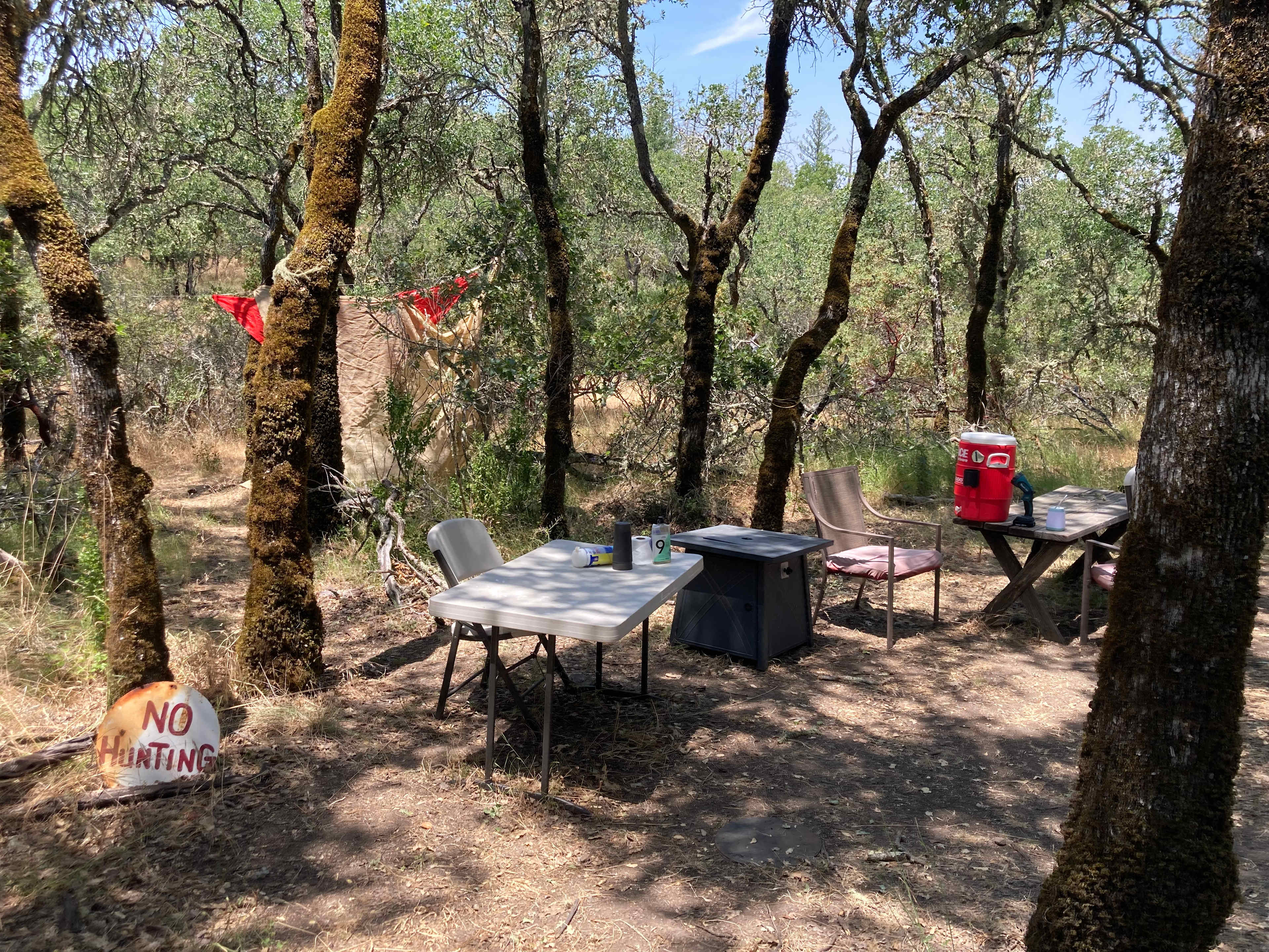 Picture of the site