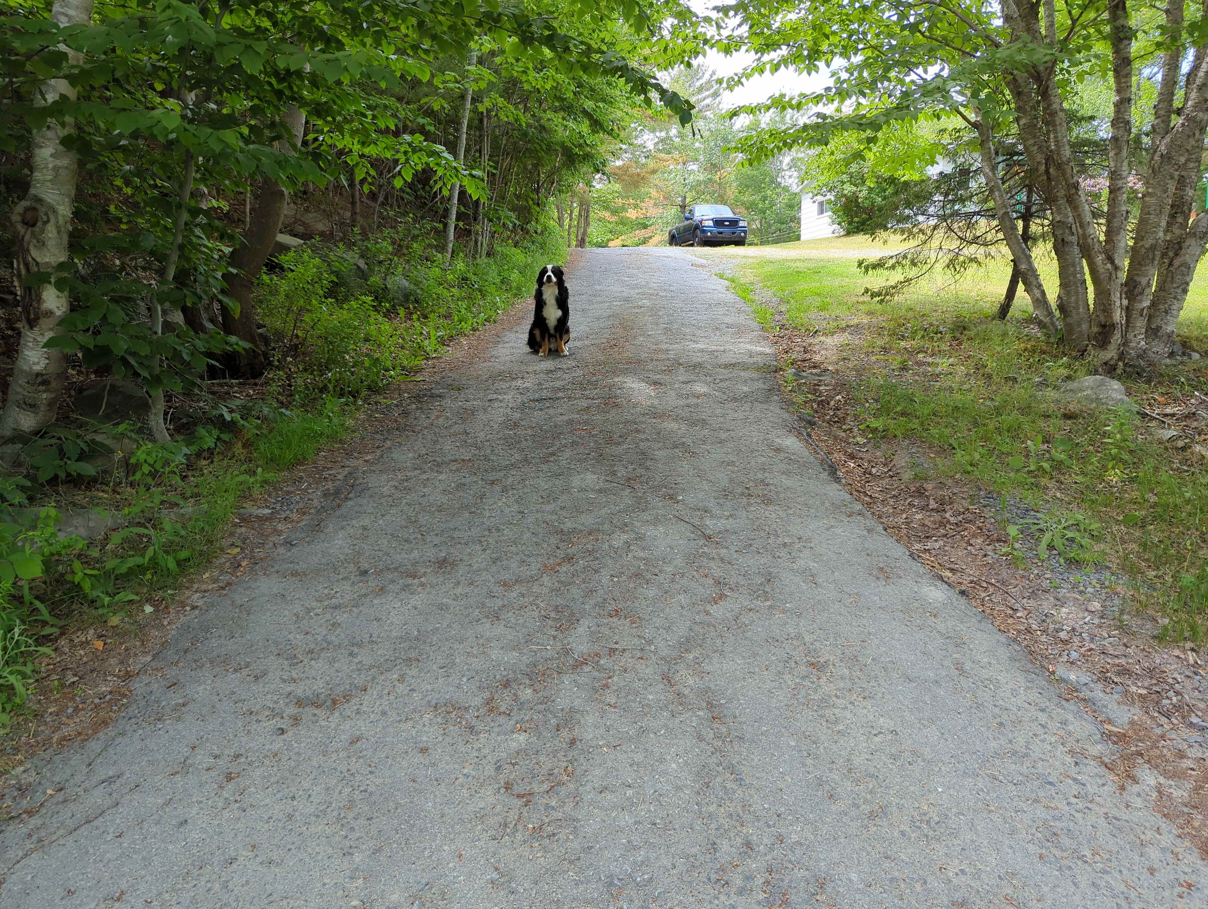 Berners Run