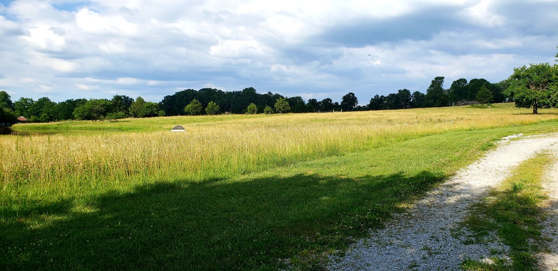 Farm Fresh Getaway (Just off I-44)