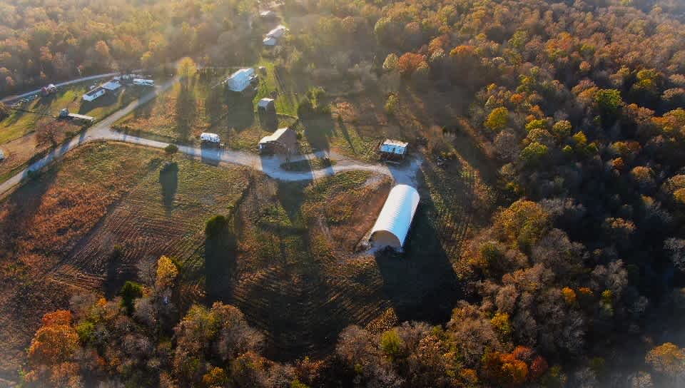 MoMo Farm