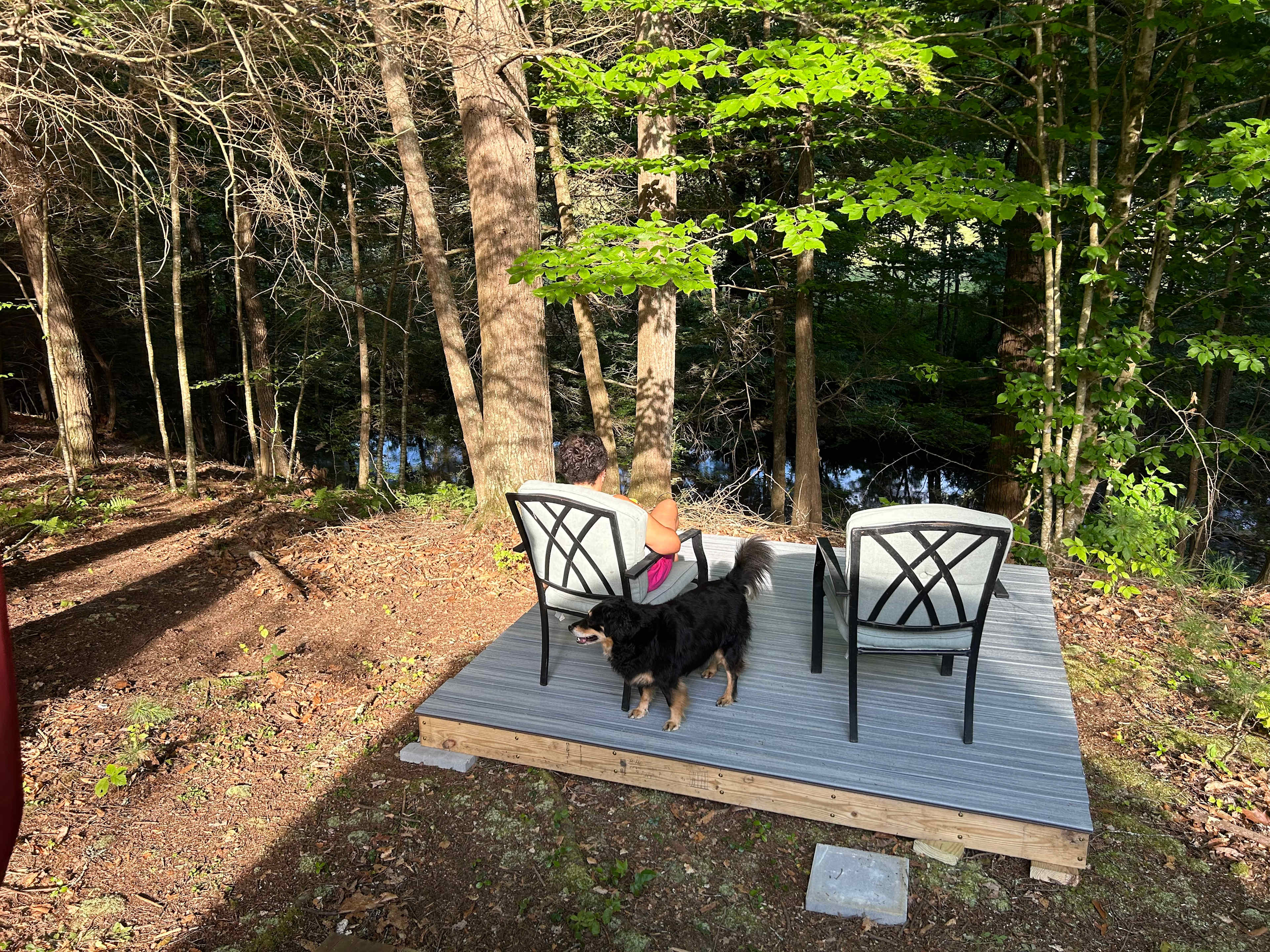 Picture of the site
