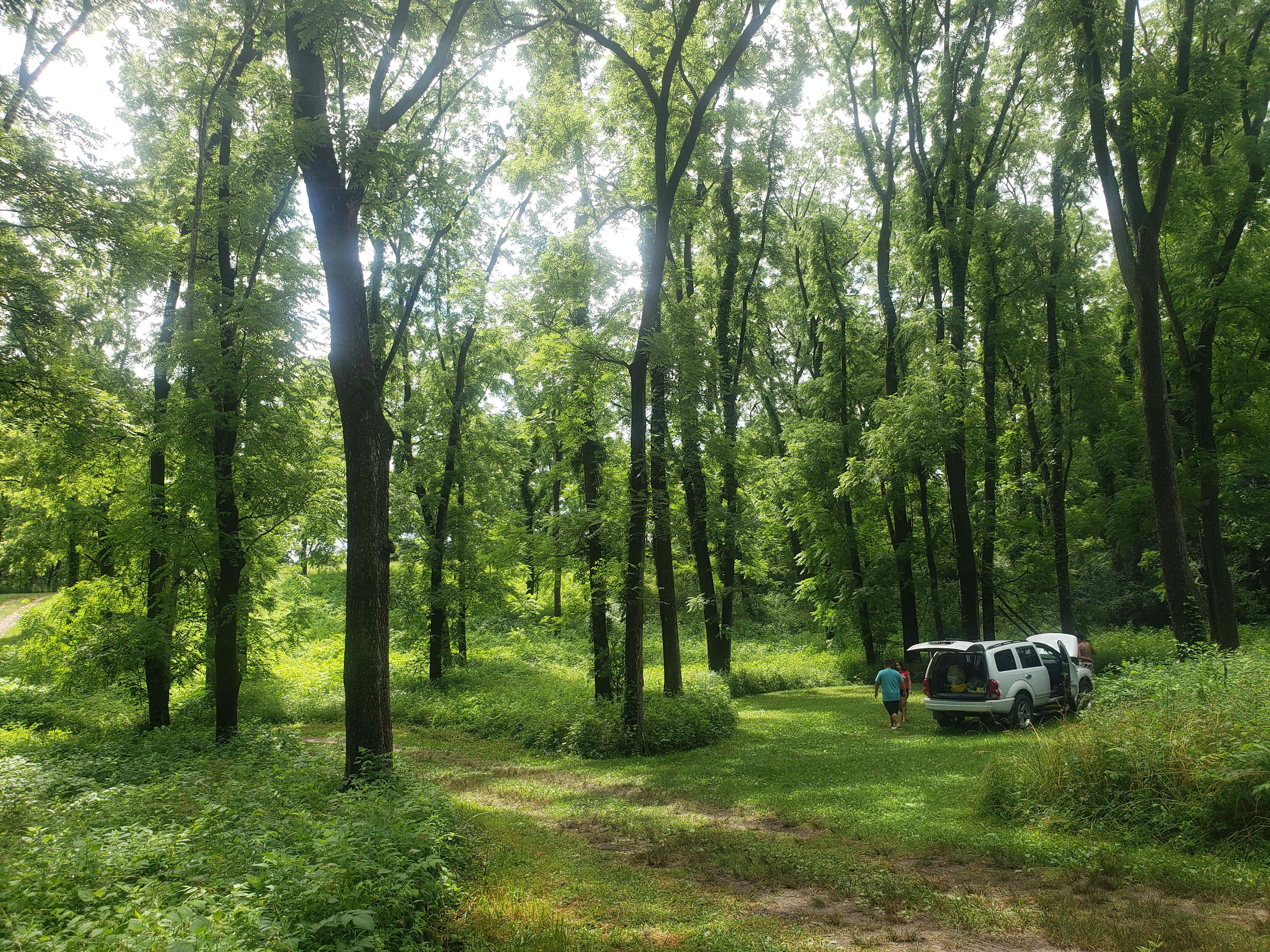 Picture of the site