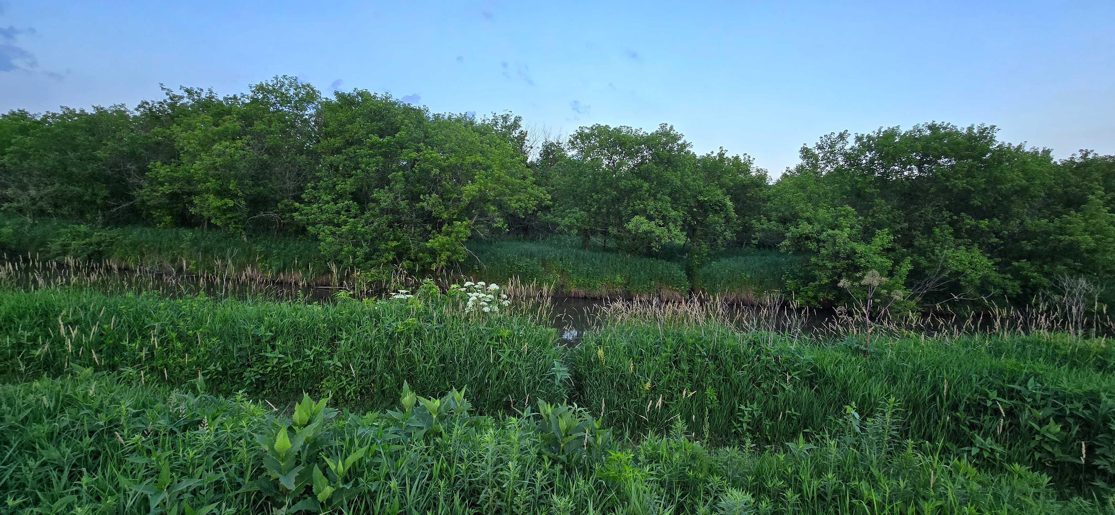 Picture of the site