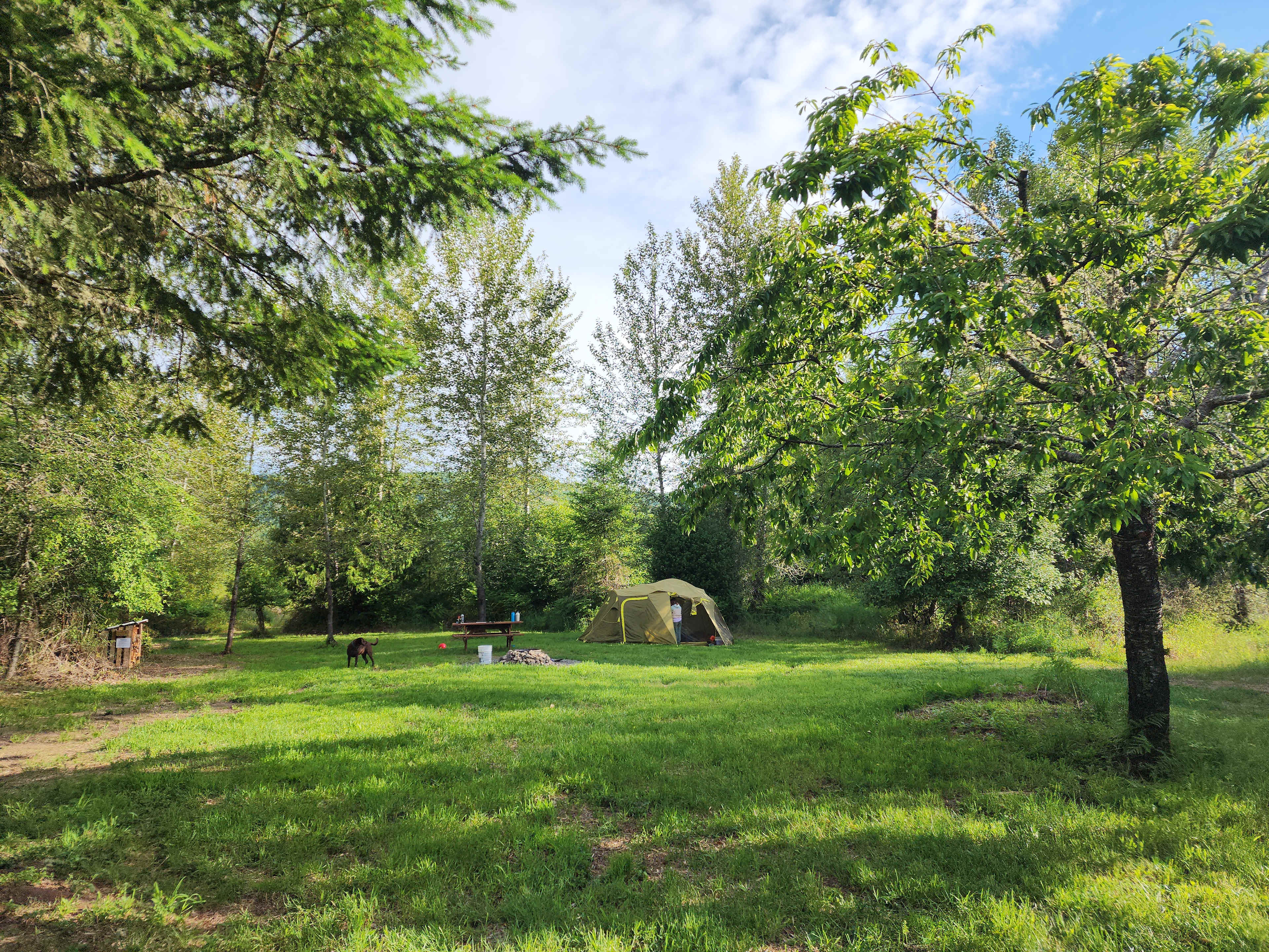 Picture of the site
