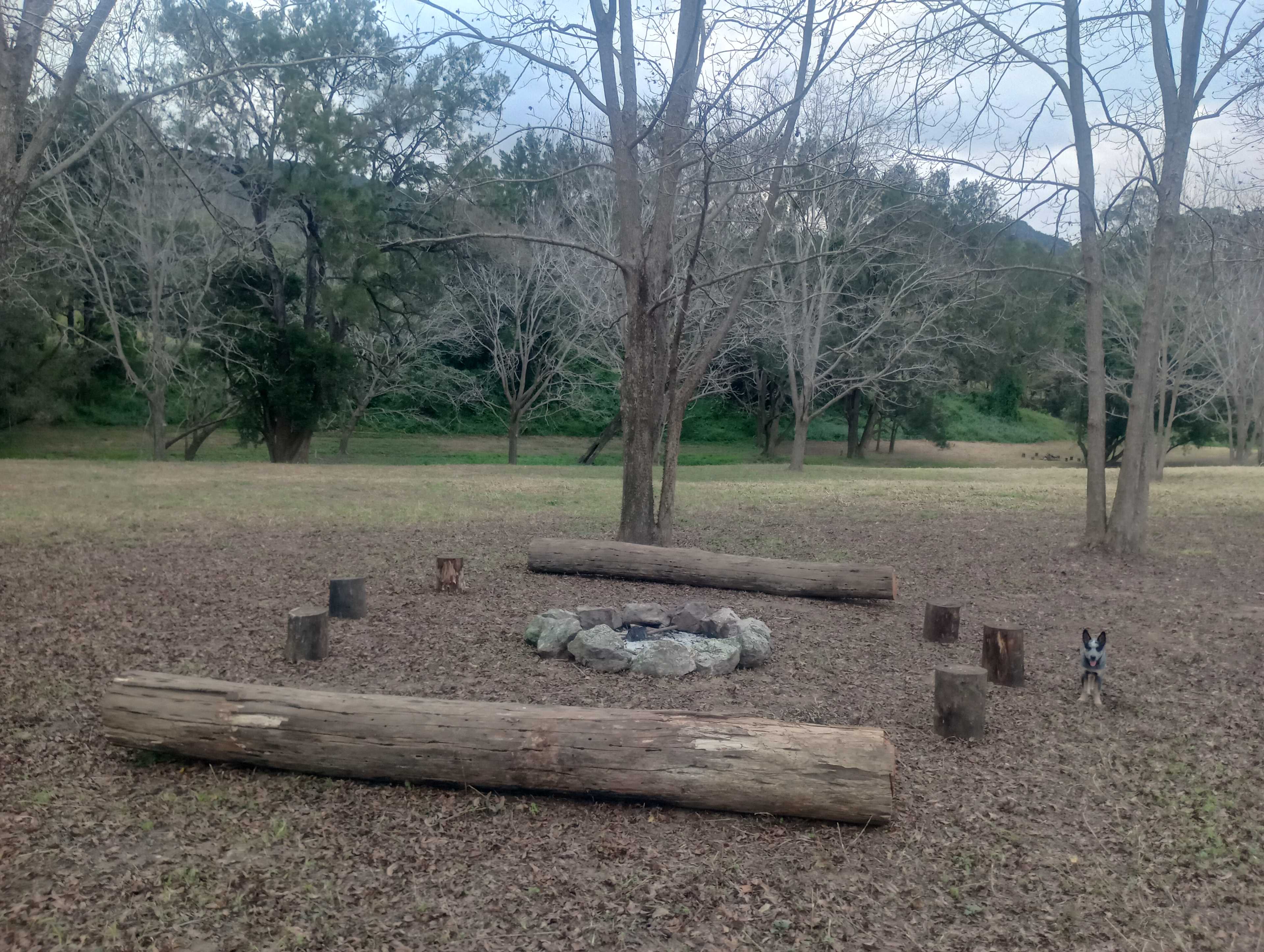 Picture of the site