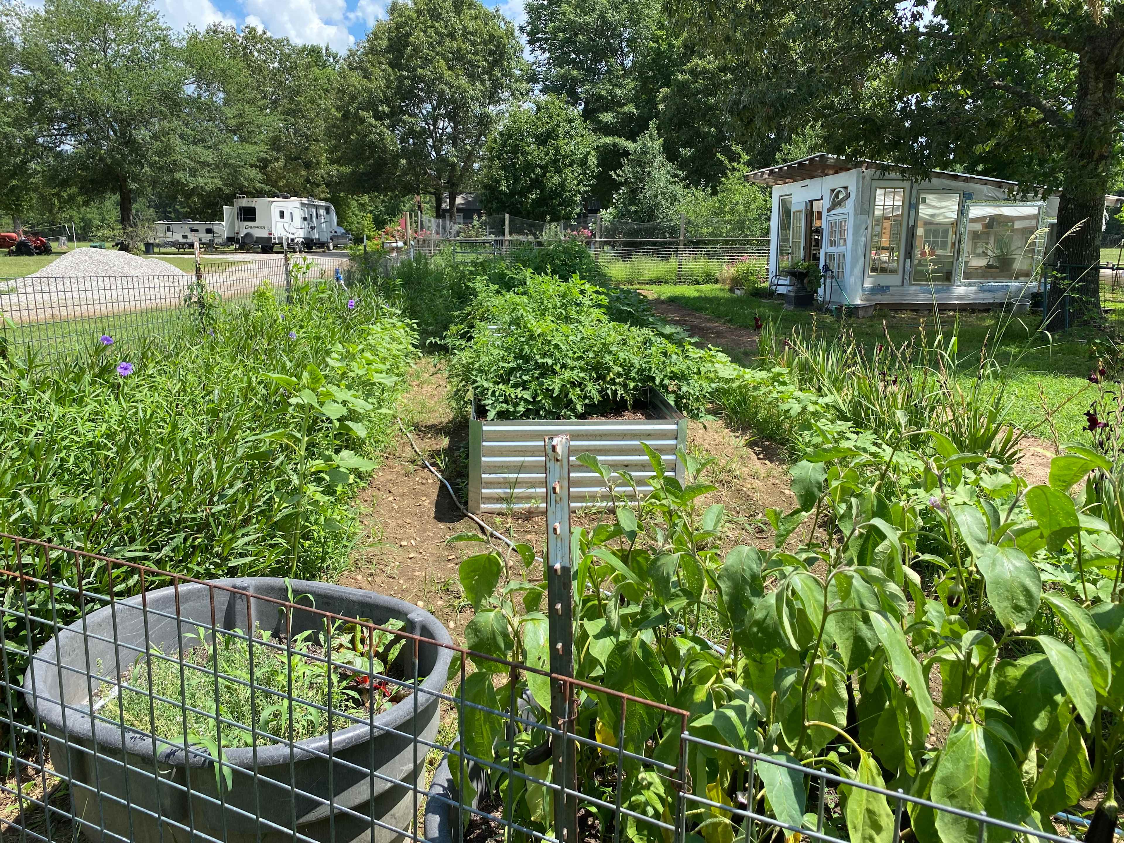 Picture of the site
