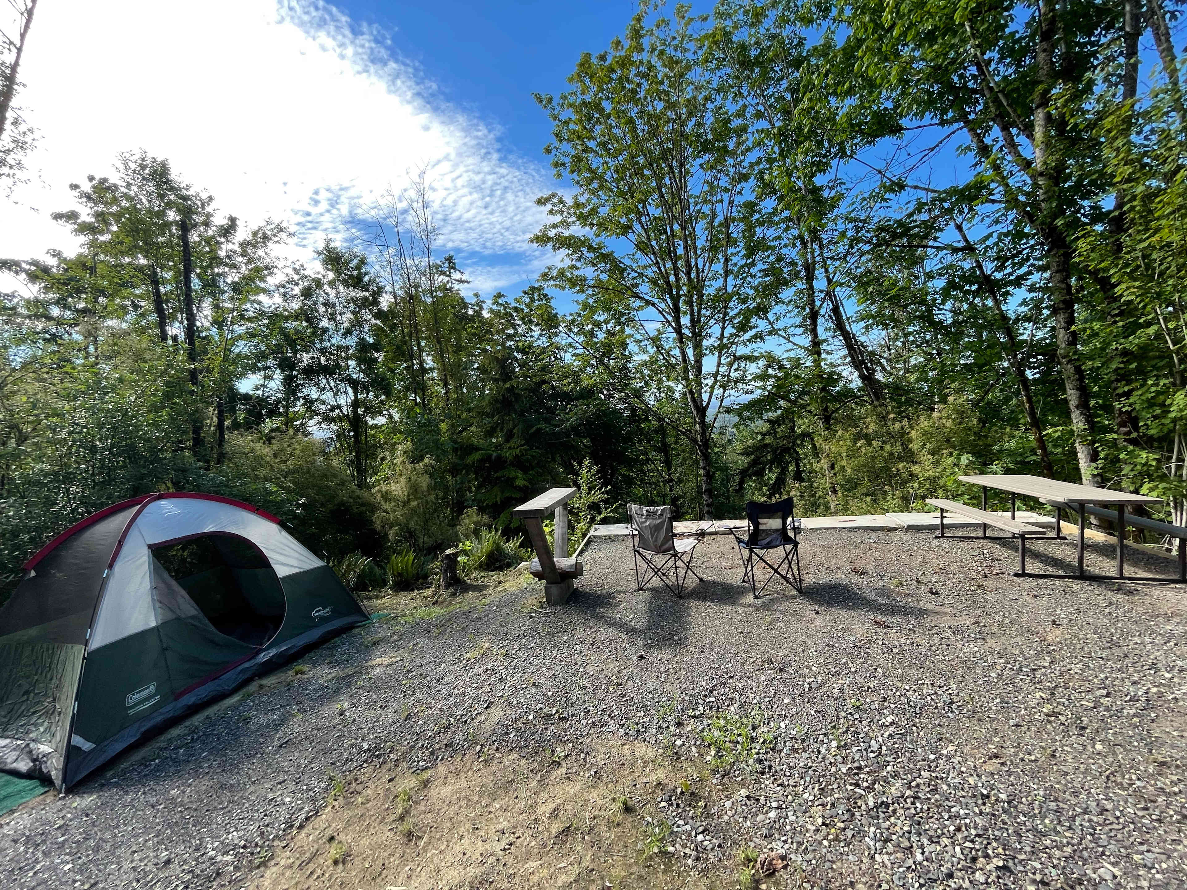 Picture of the site