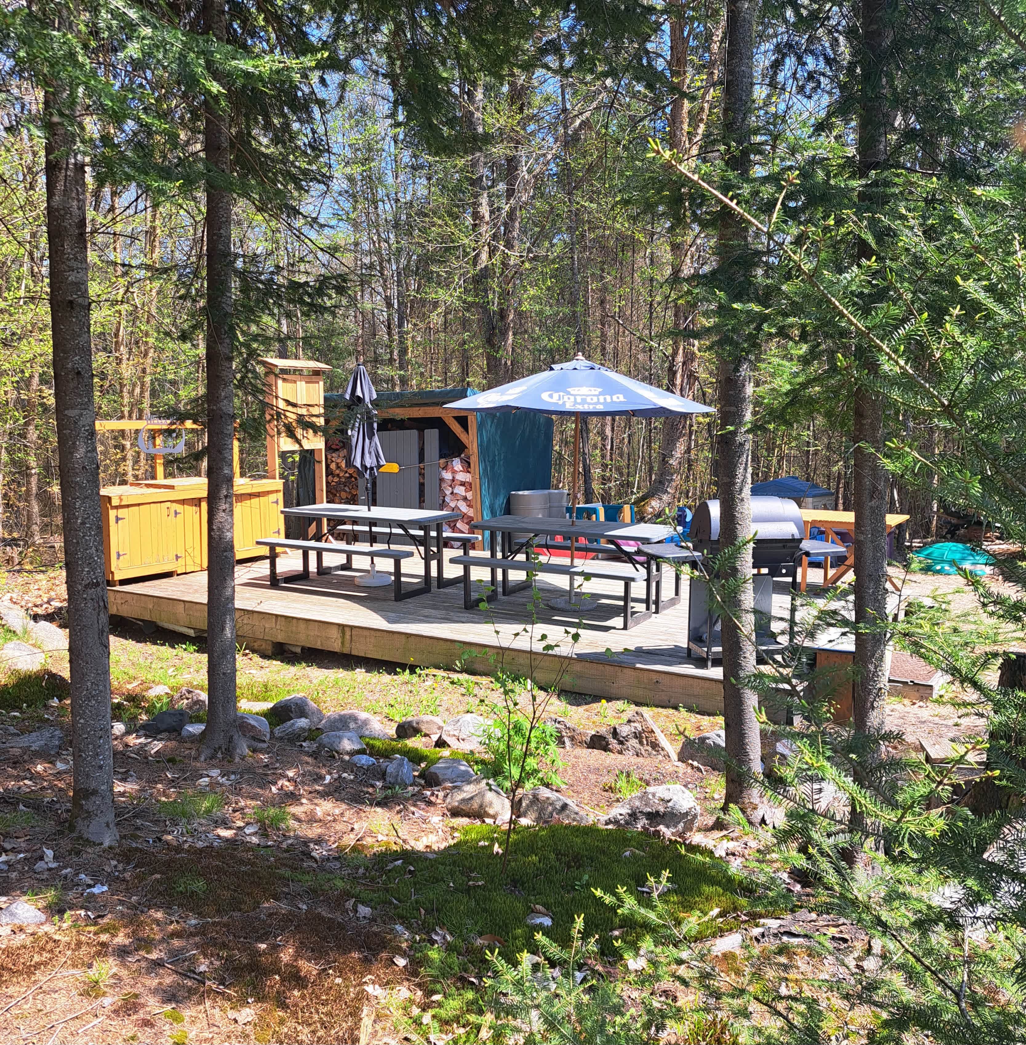 Picture of the site