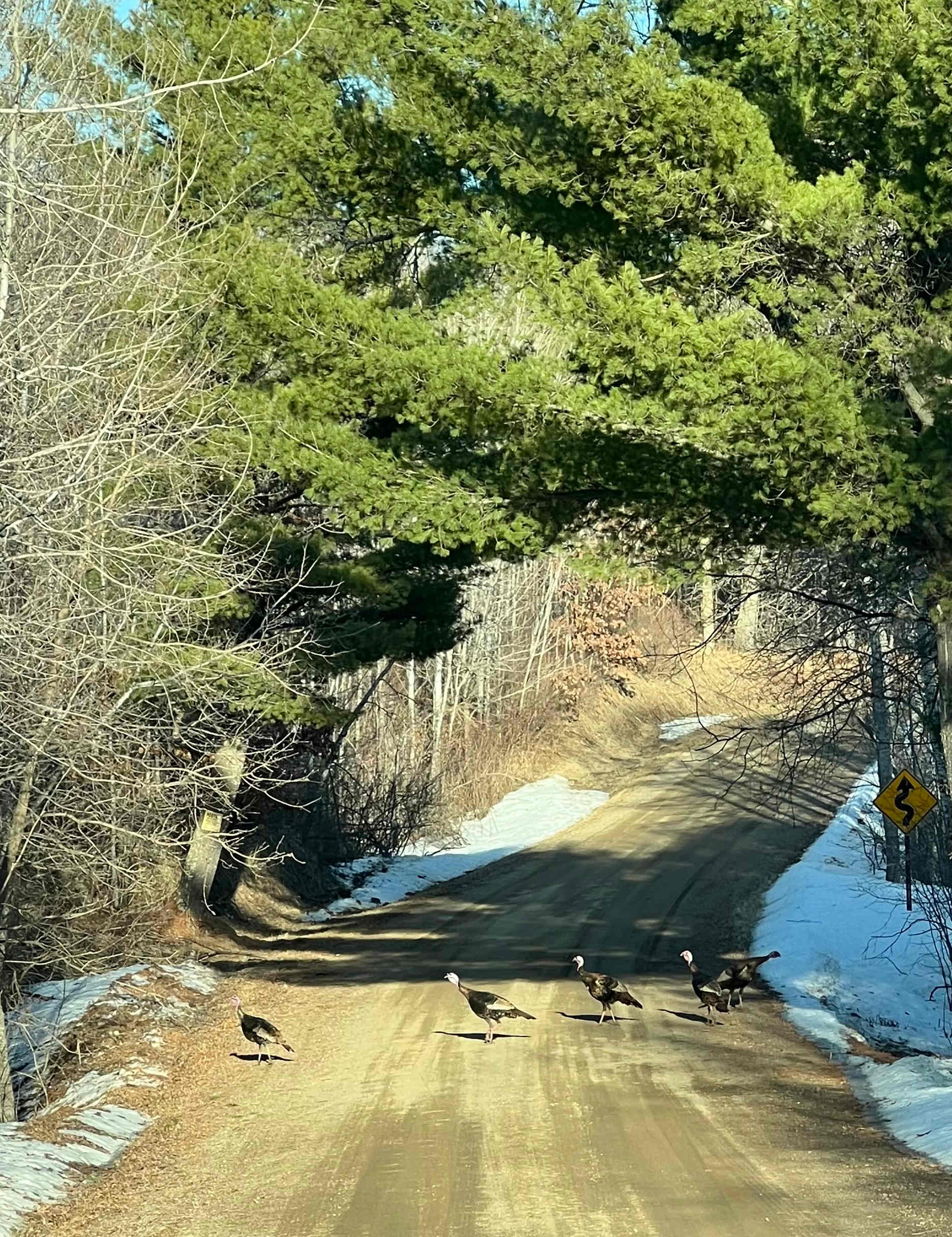 Paul’s Lakeside Cottage