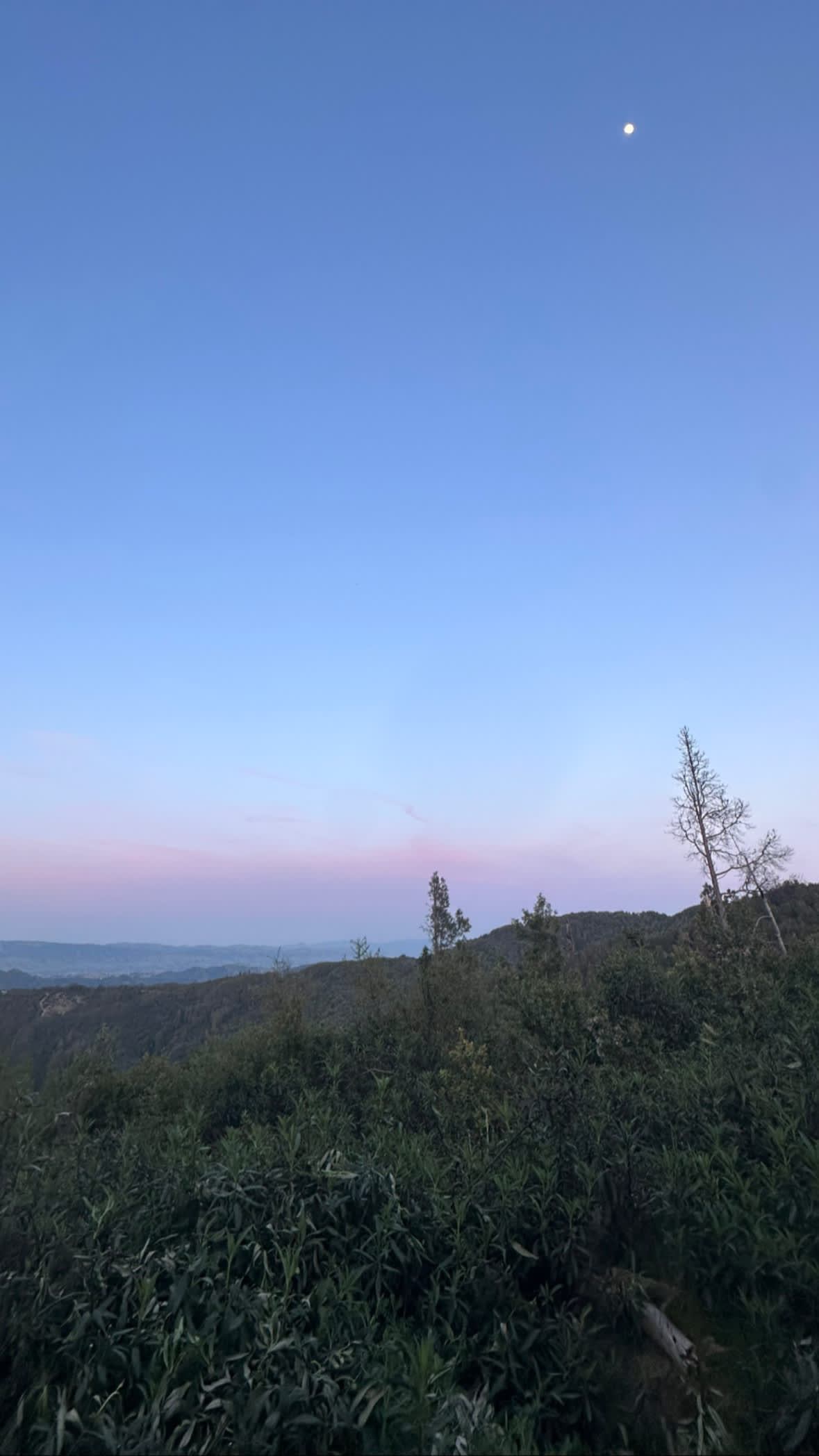 Camp Rewilding