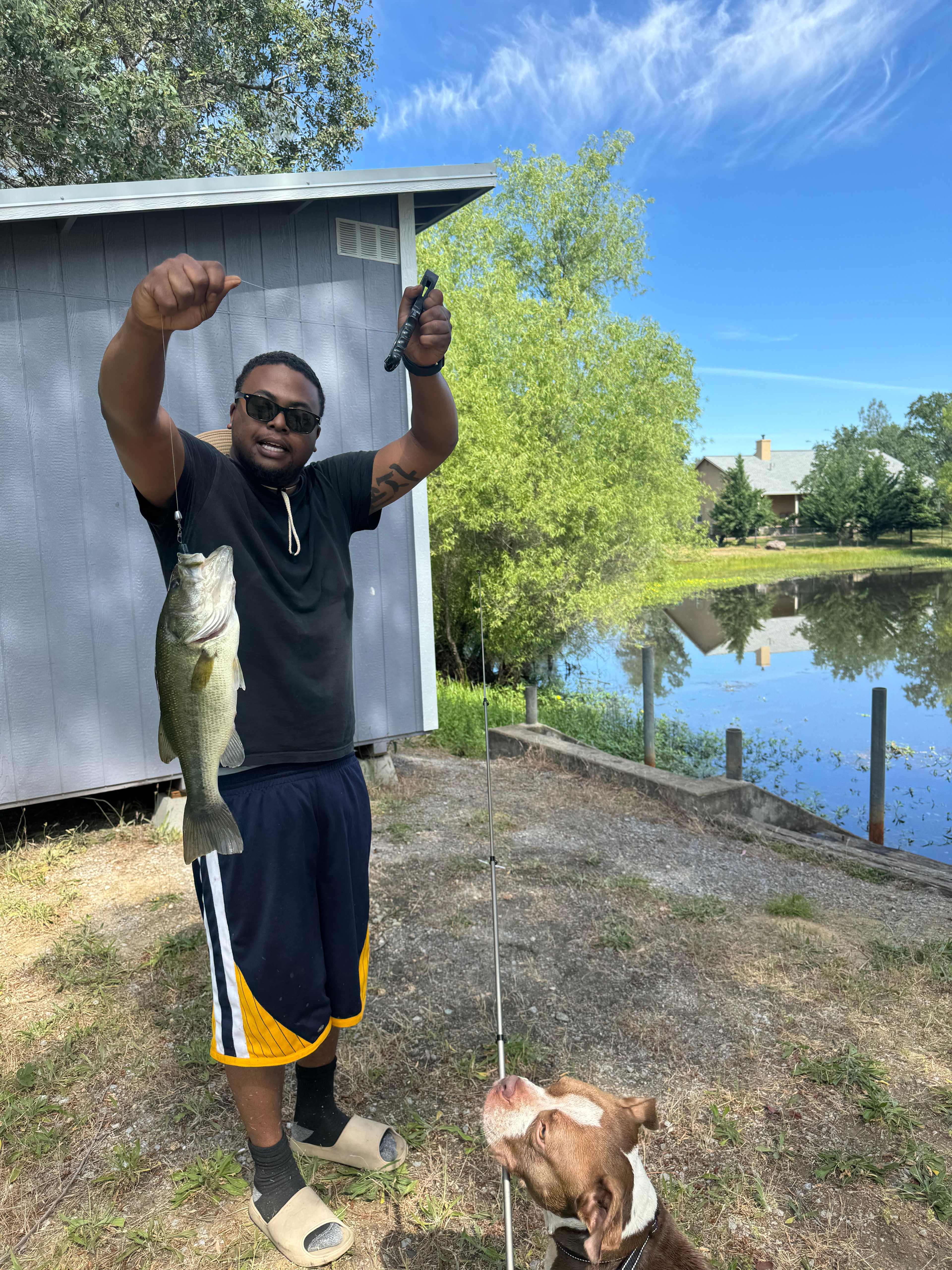 Bass Fishing Paradise-Open and Easy