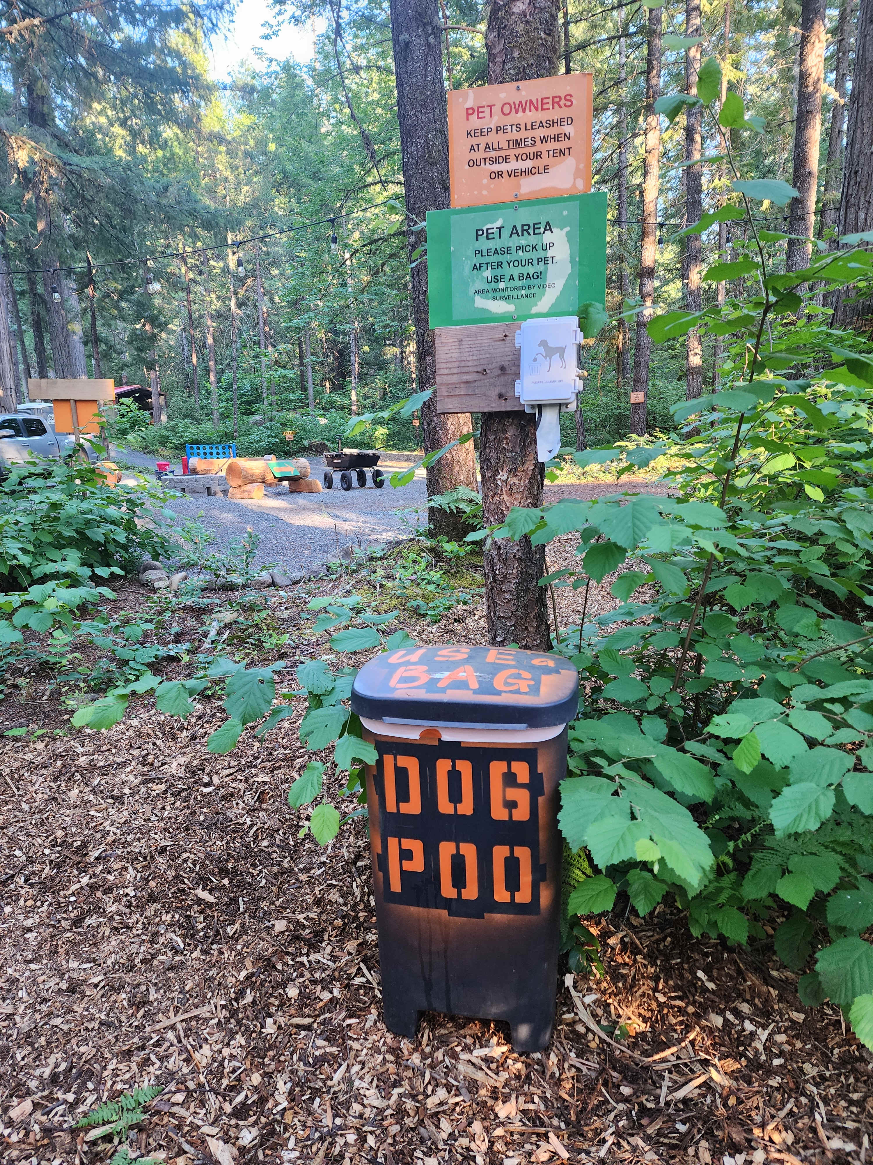 Picture of the site