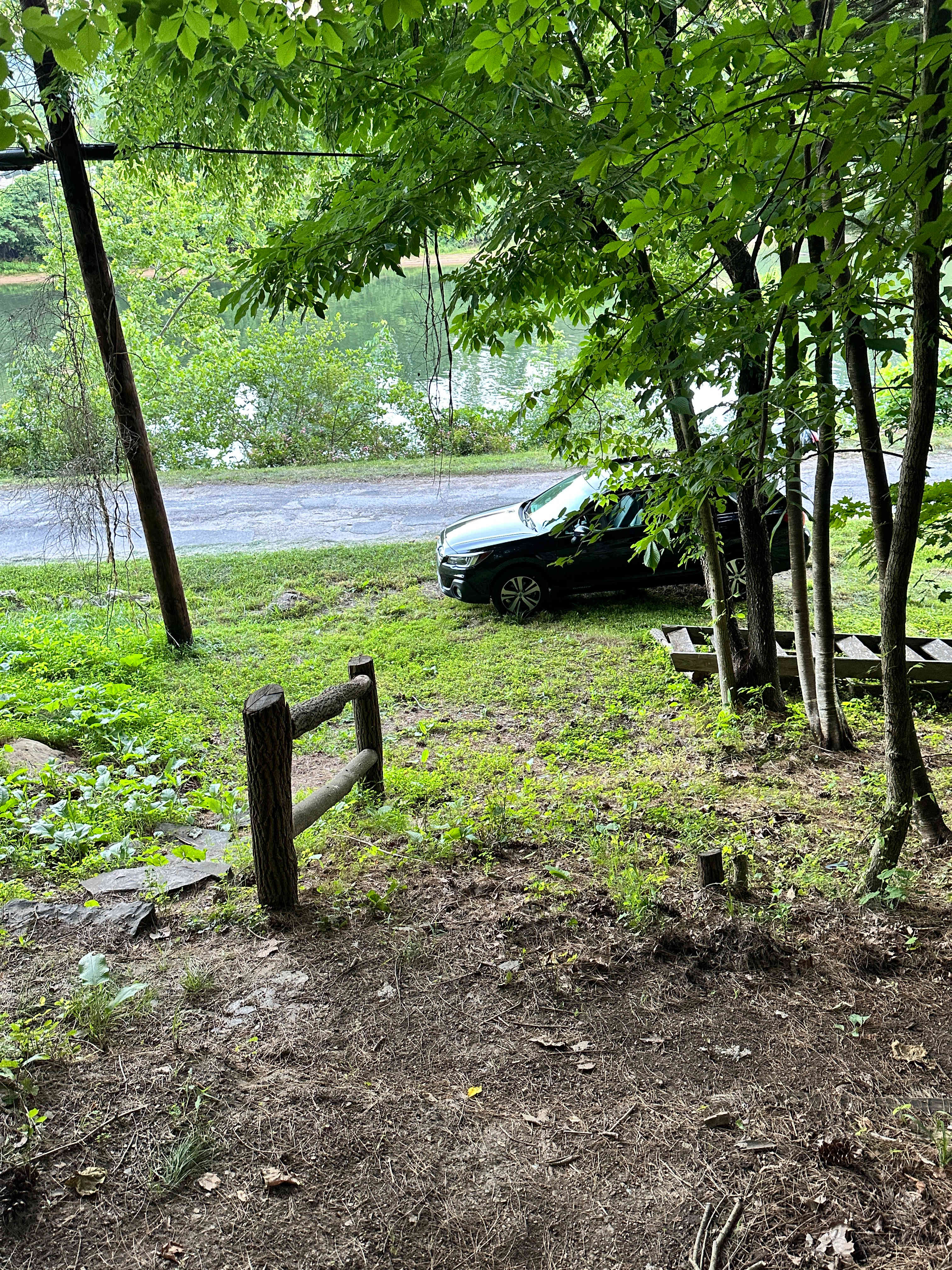 Picture of the site