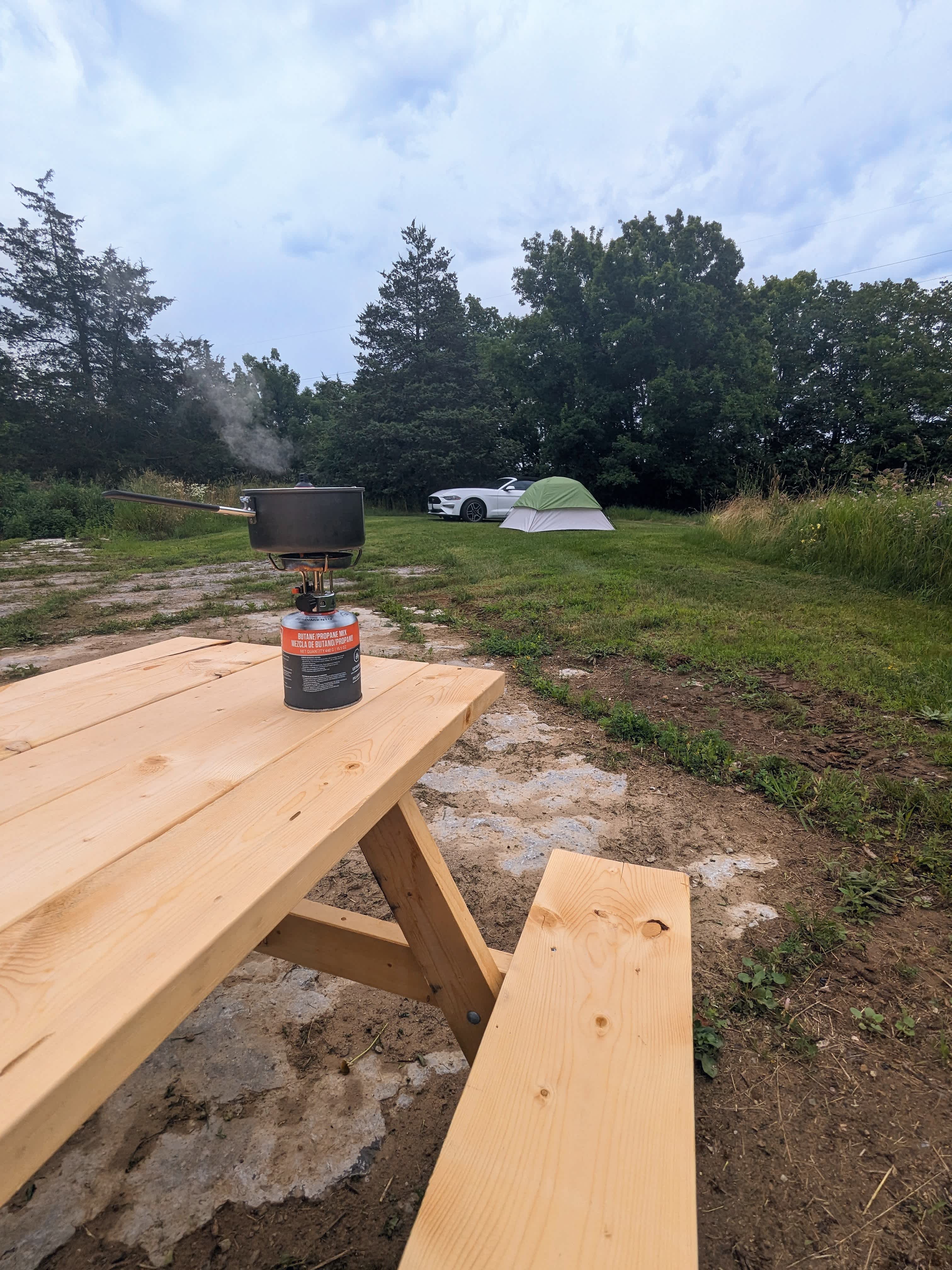 Picture of the site