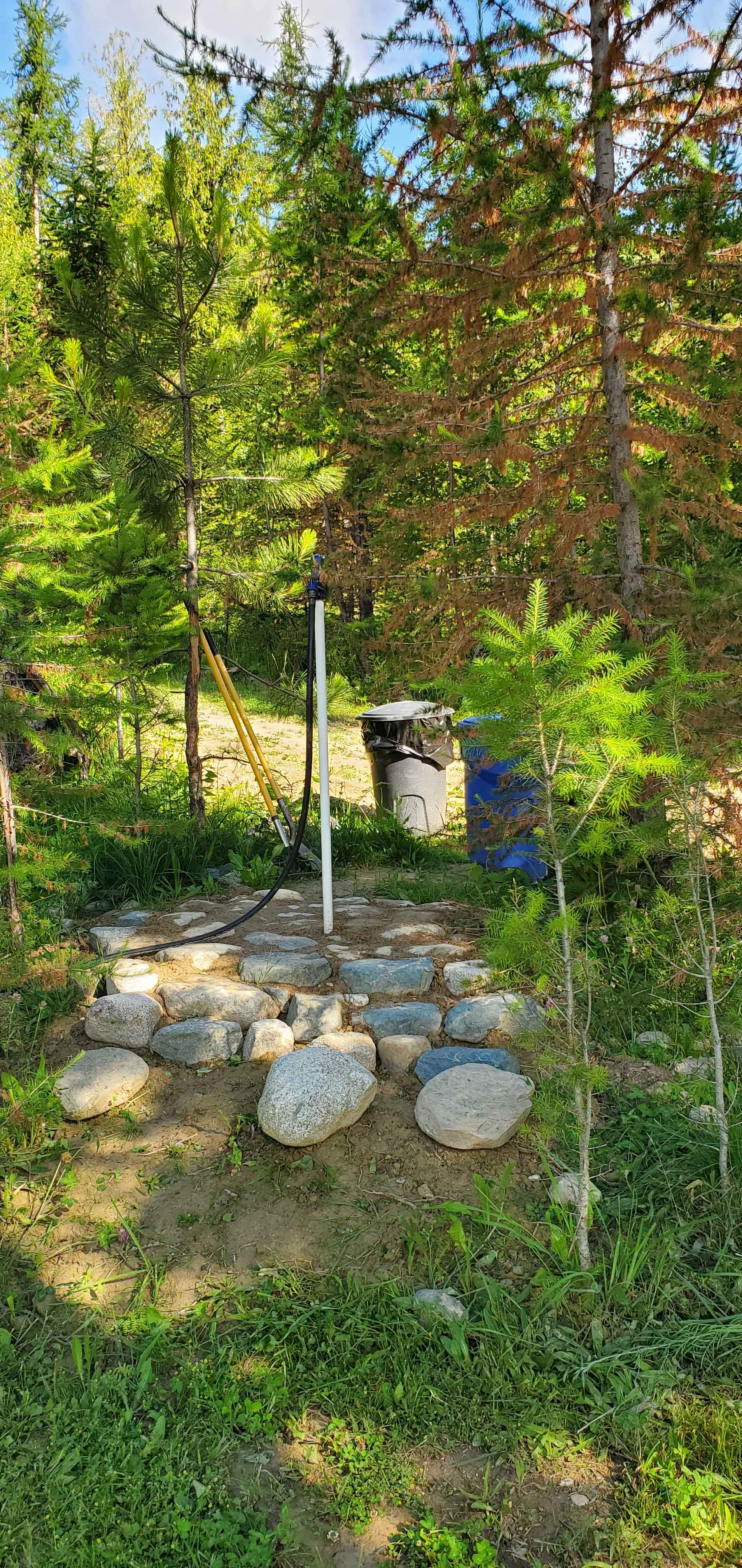 Picture of the site